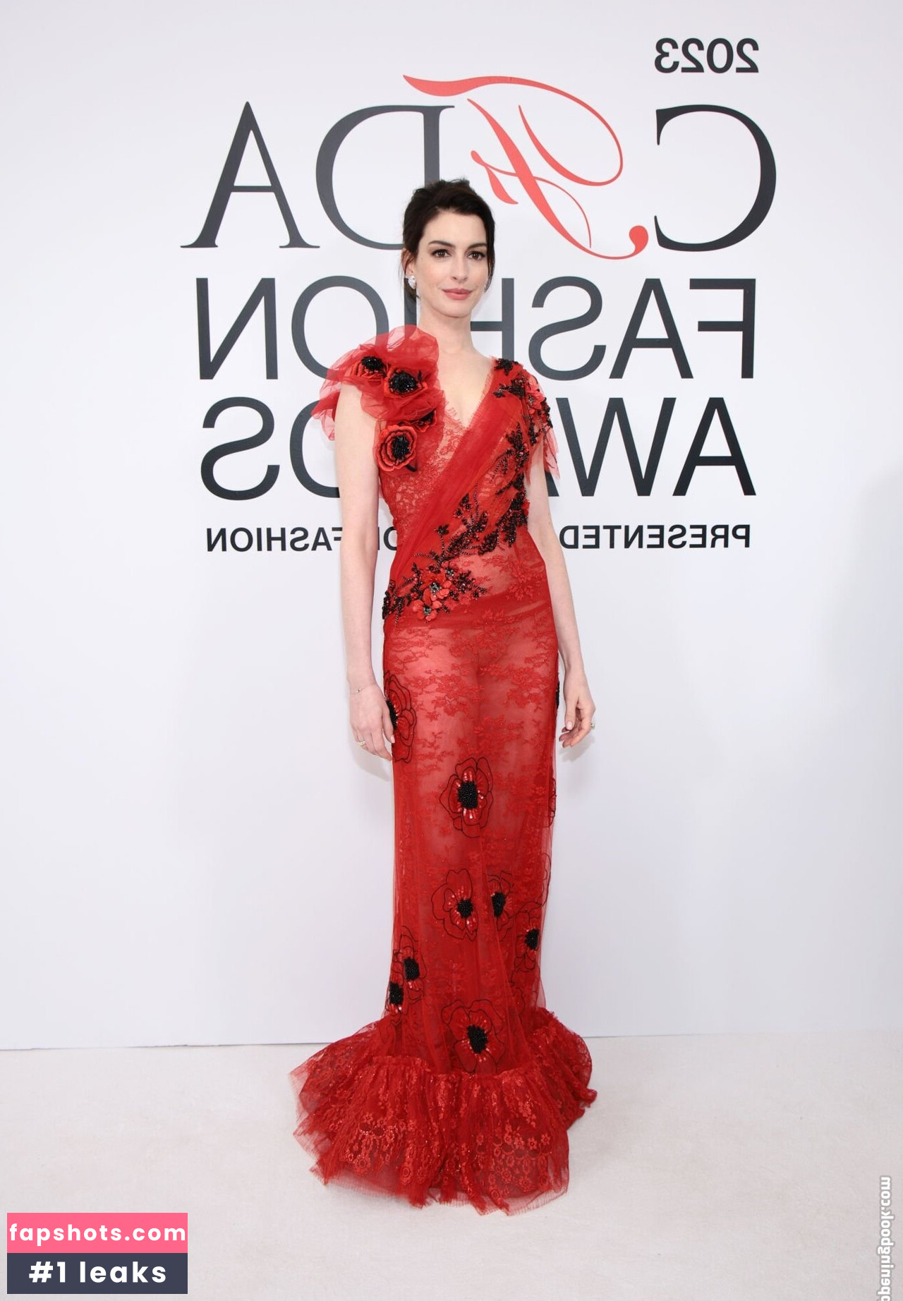 Anne Hathaway gallery photo #447