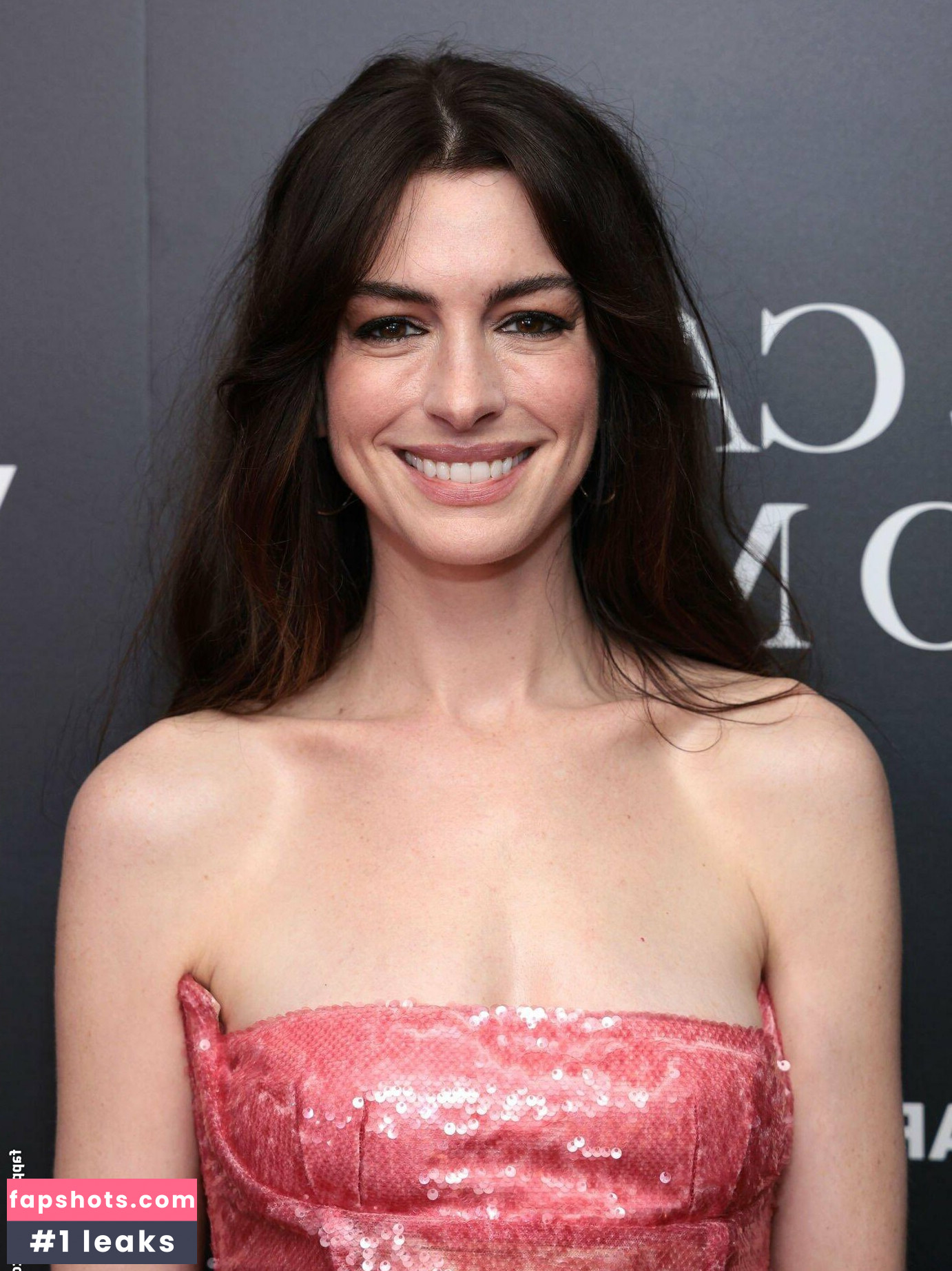 Anne Hathaway gallery photo #489