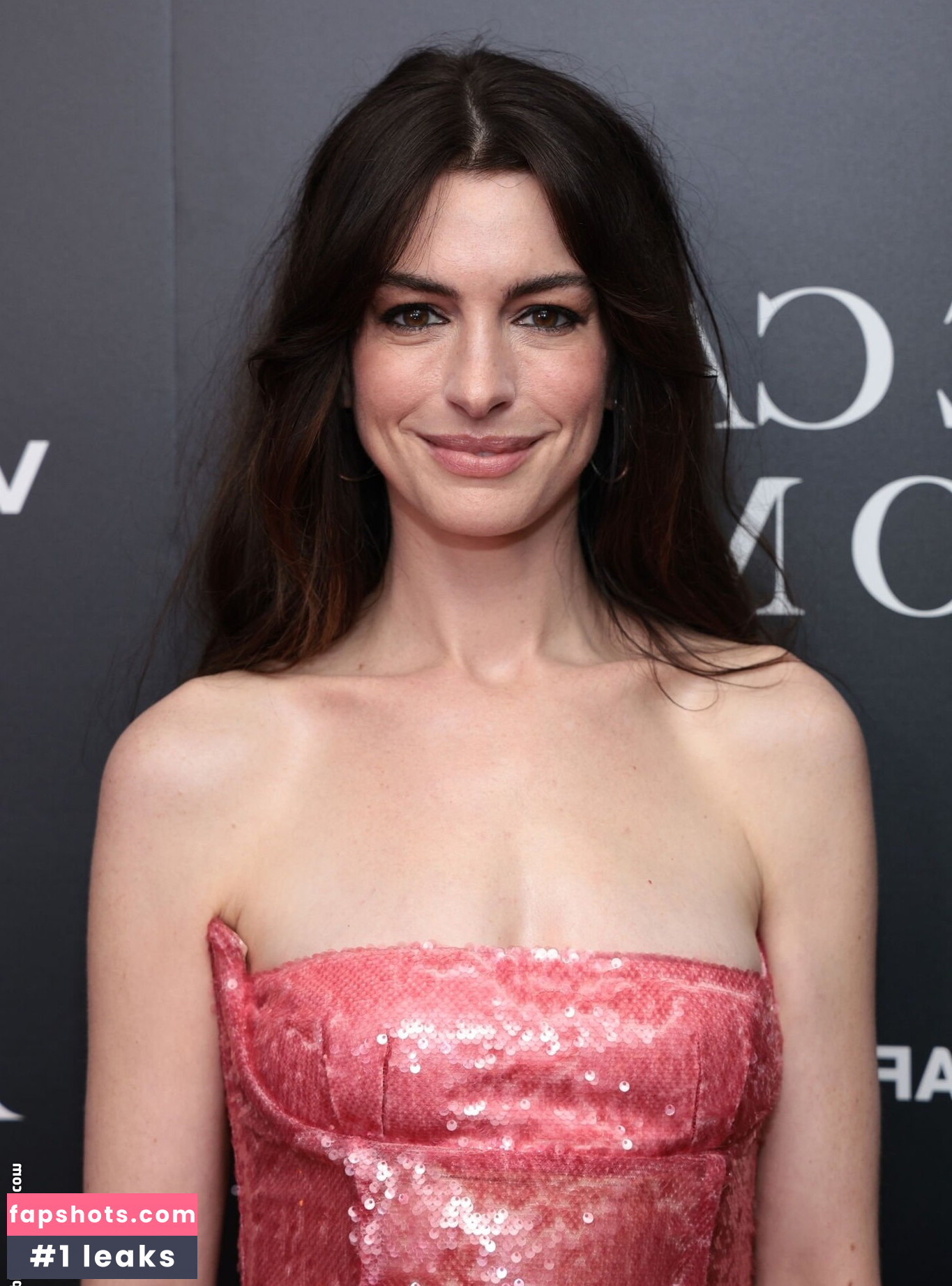 Anne Hathaway gallery photo #493