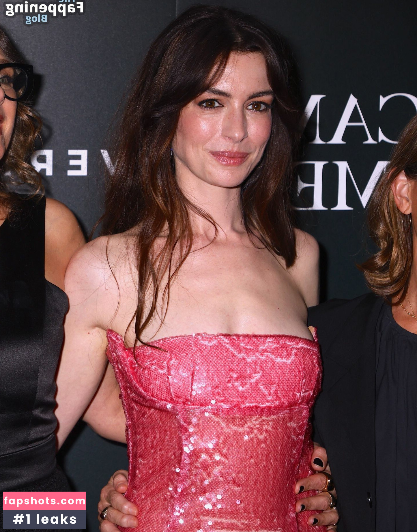 Anne Hathaway gallery photo #513