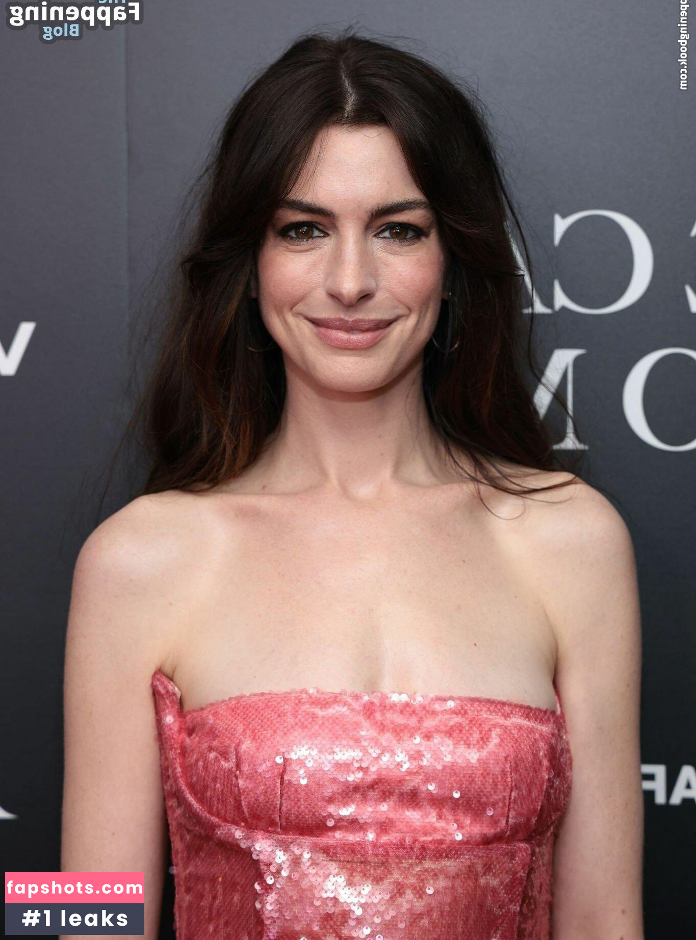 Anne Hathaway gallery photo #533