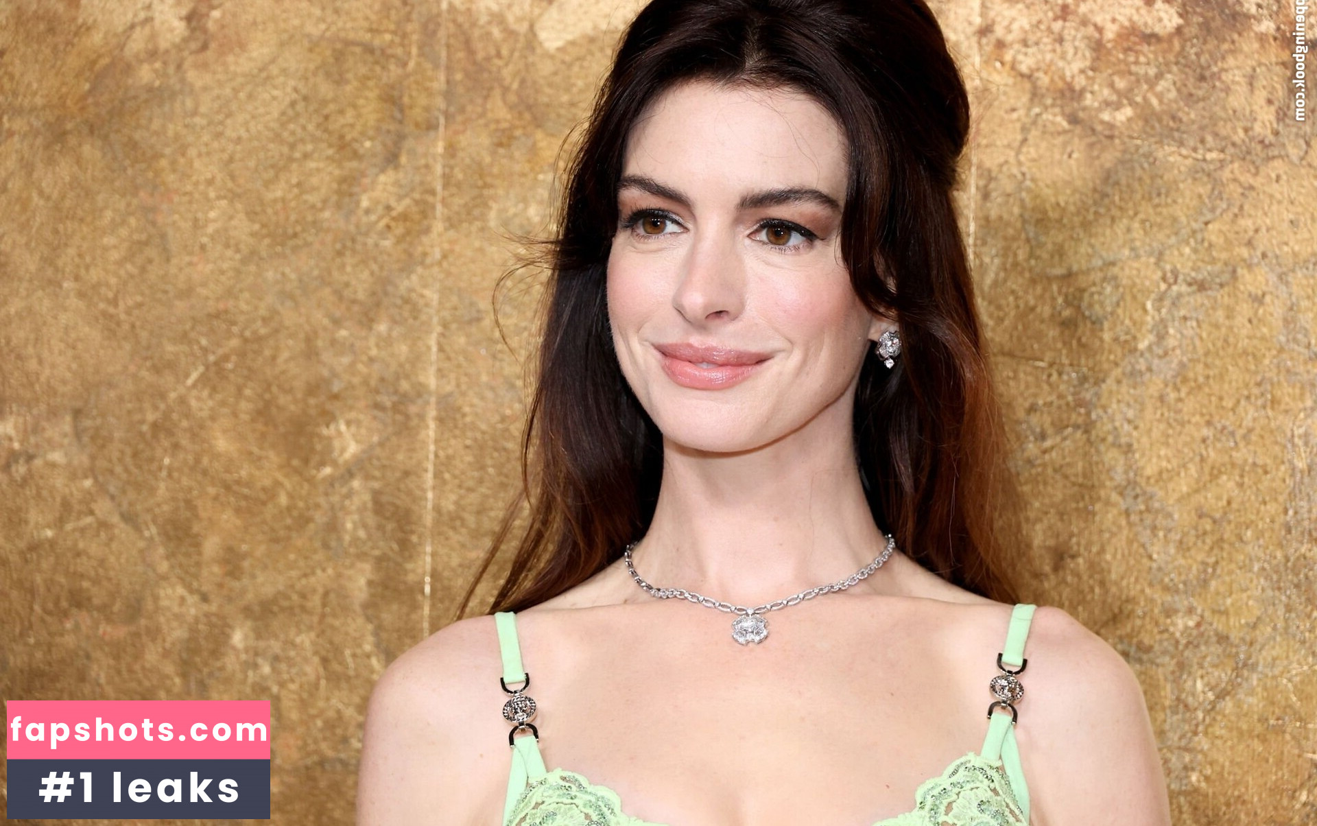 Anne Hathaway gallery photo #549