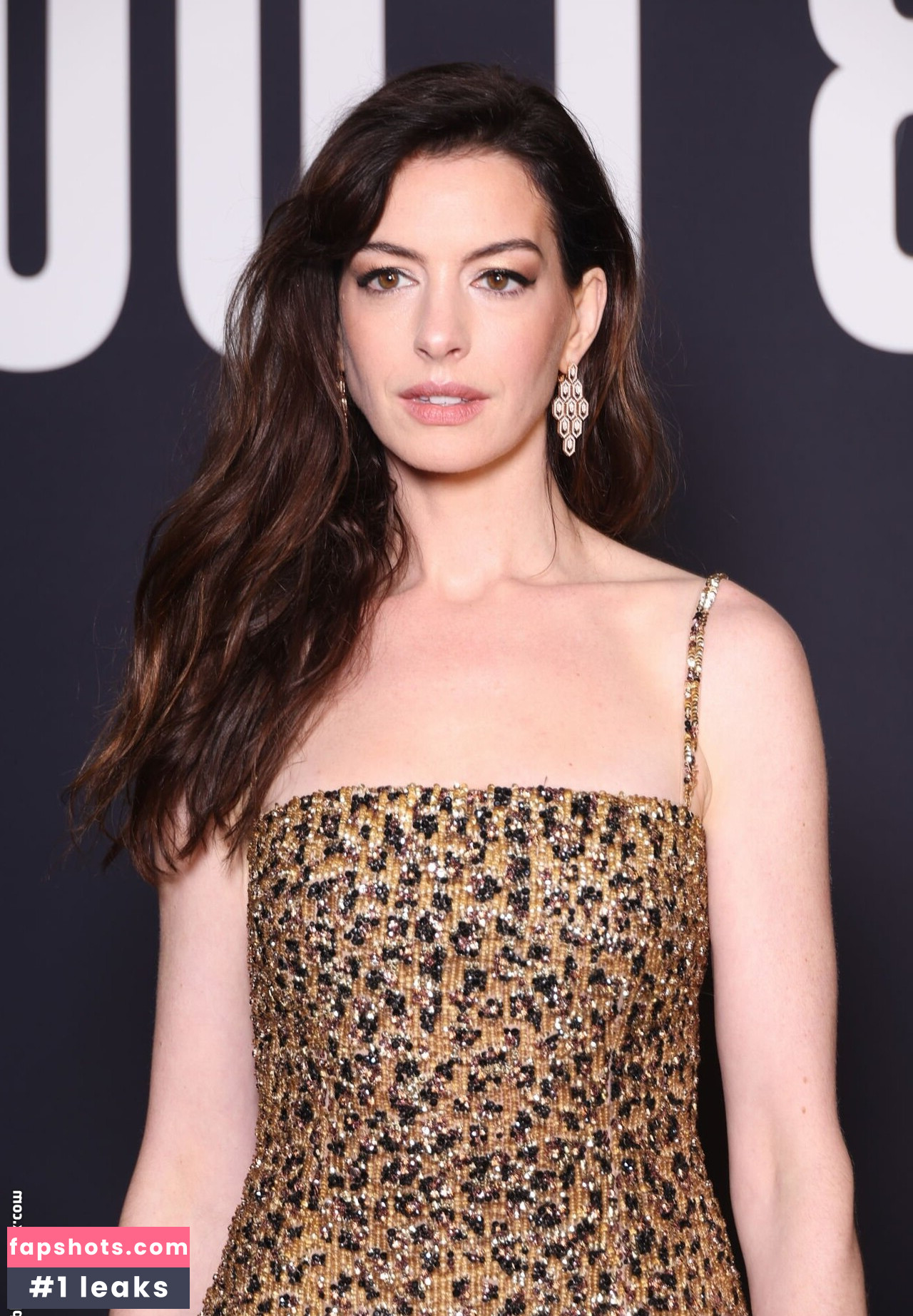 Anne Hathaway gallery photo #779