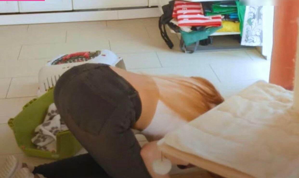 annitheduck Nude Leaks OnlyFans Photos #788 - LeakJerk