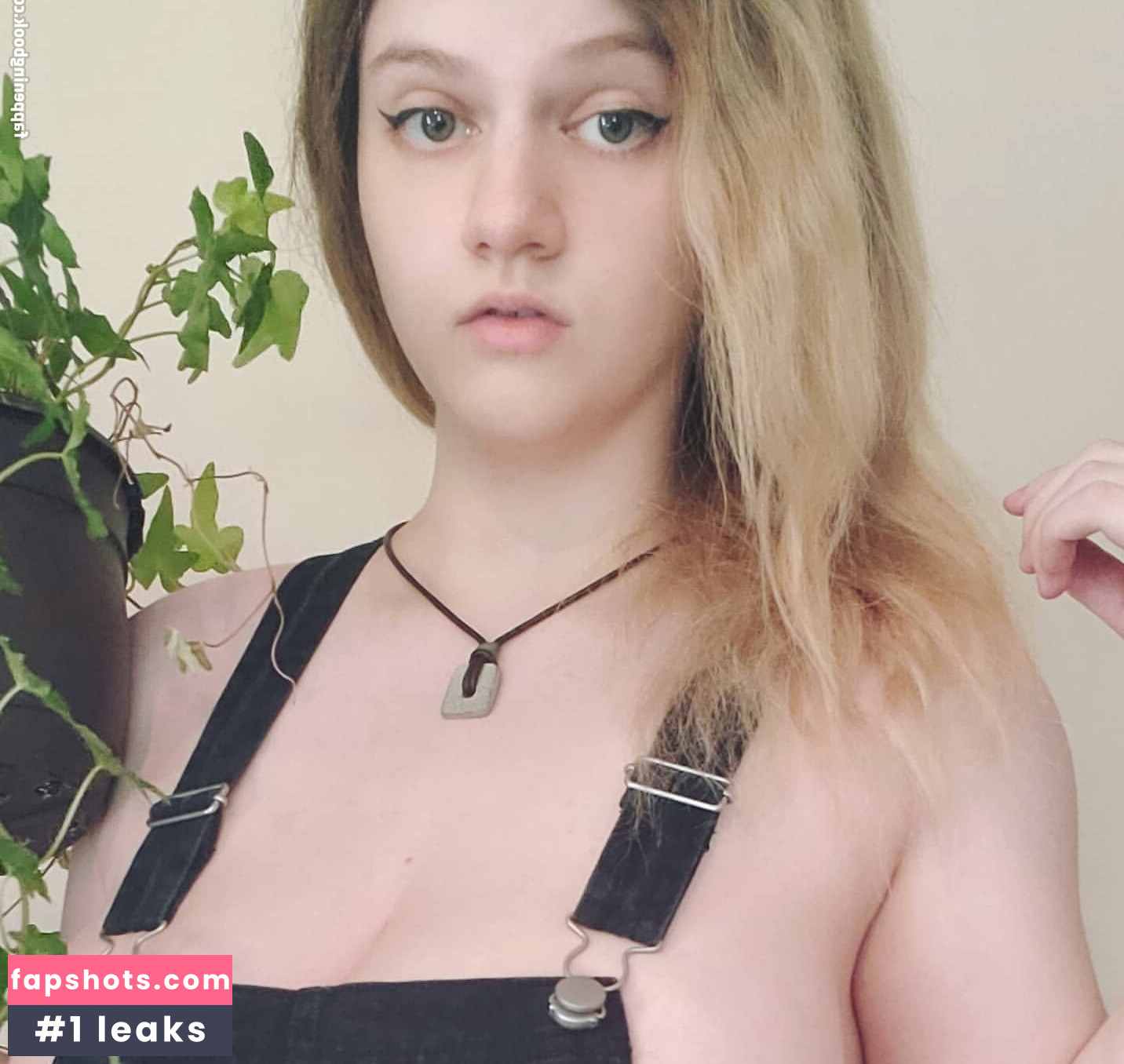 Annonalfa gallery photo #6