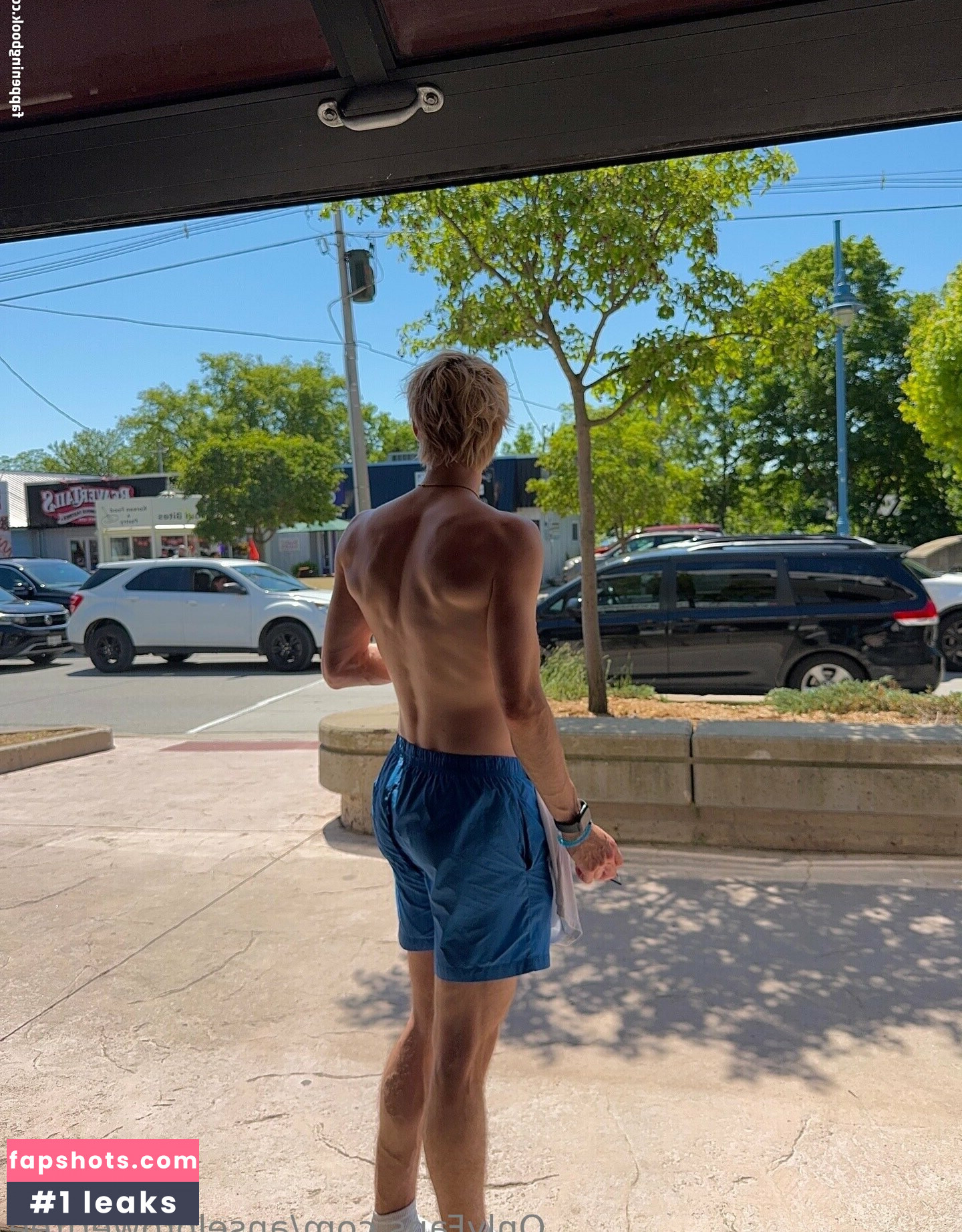 anselprowerfree nude babe gallery