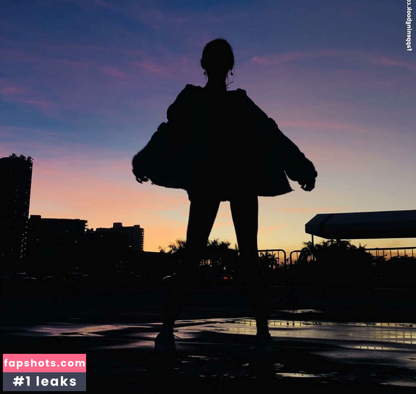 Antoenella gallery photo #3