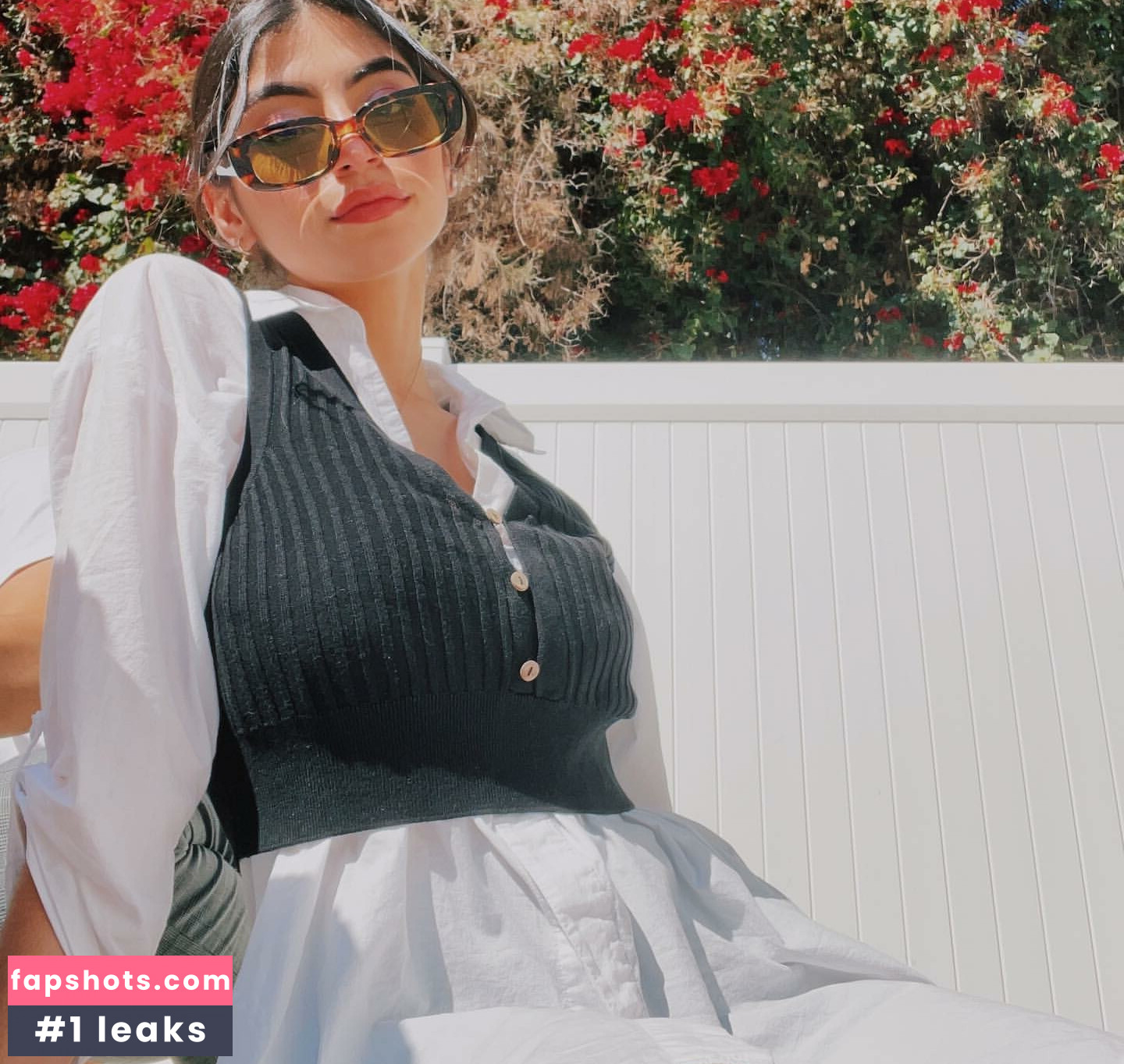 Antoenella gallery photo #10