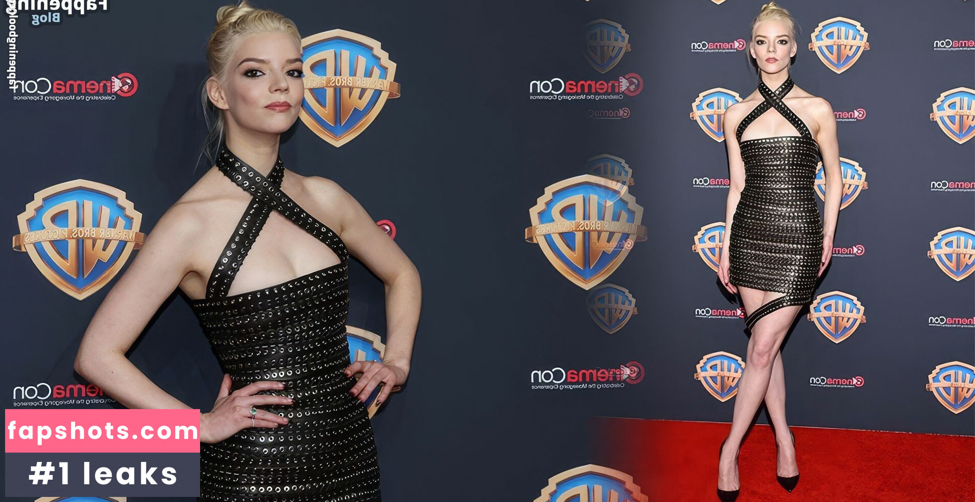 Anya Taylor-Joy gallery photo #1285