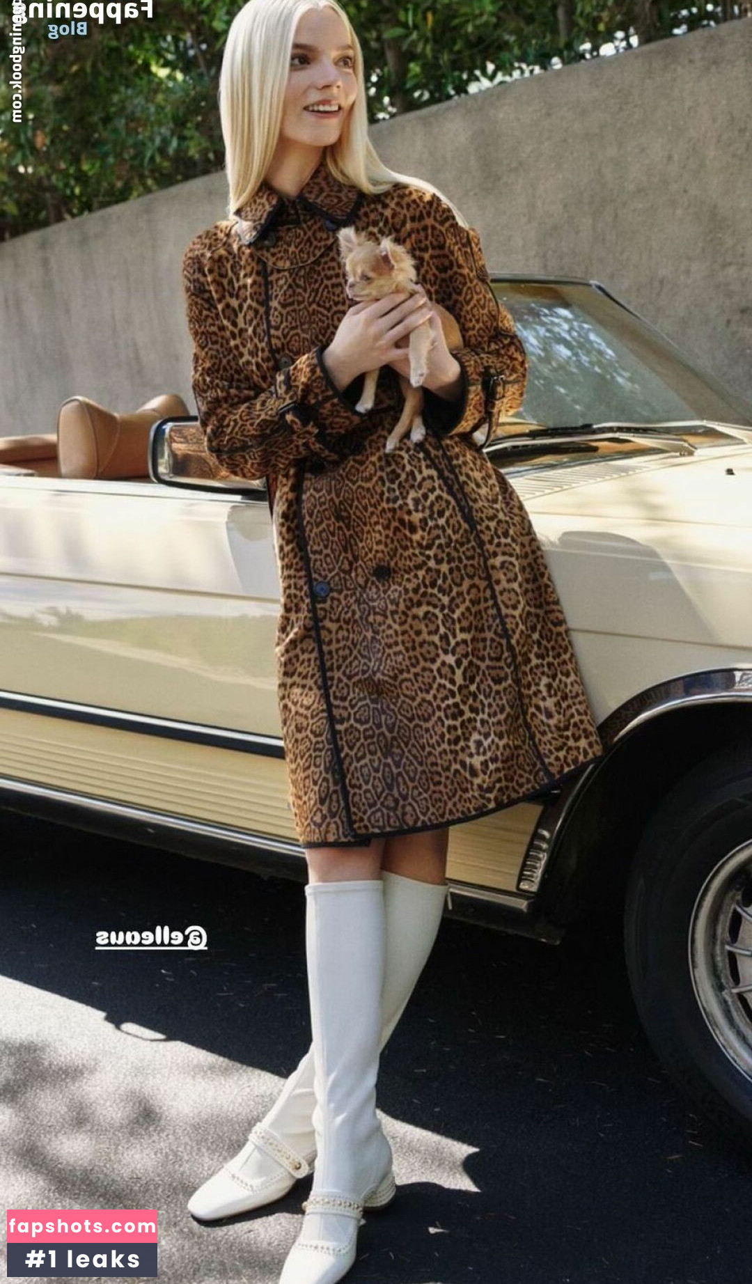 Anya Taylor-Joy gallery photo #463