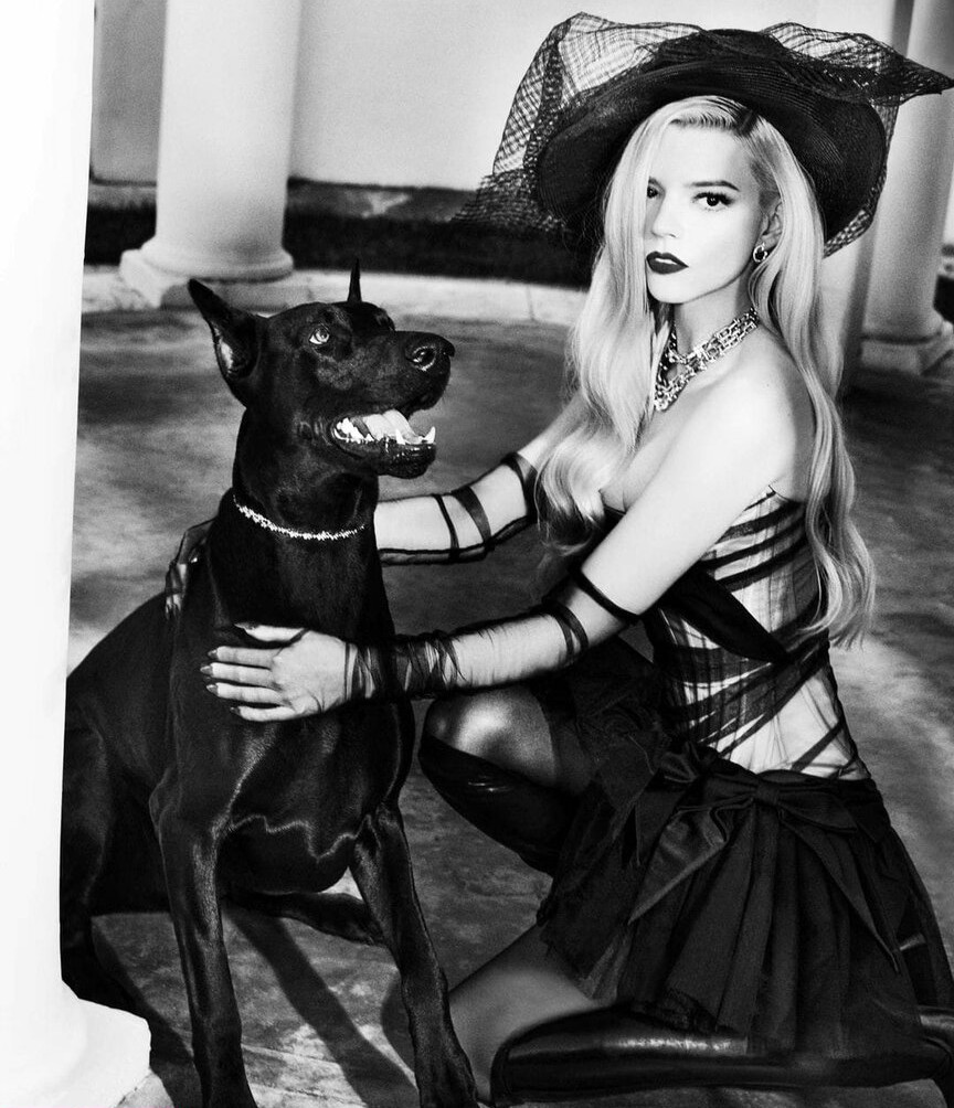 anya-taylor-joy gallery photo #914