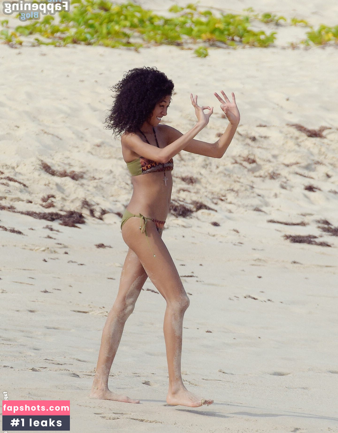 Aoki Lee Simmons gallery photo #20