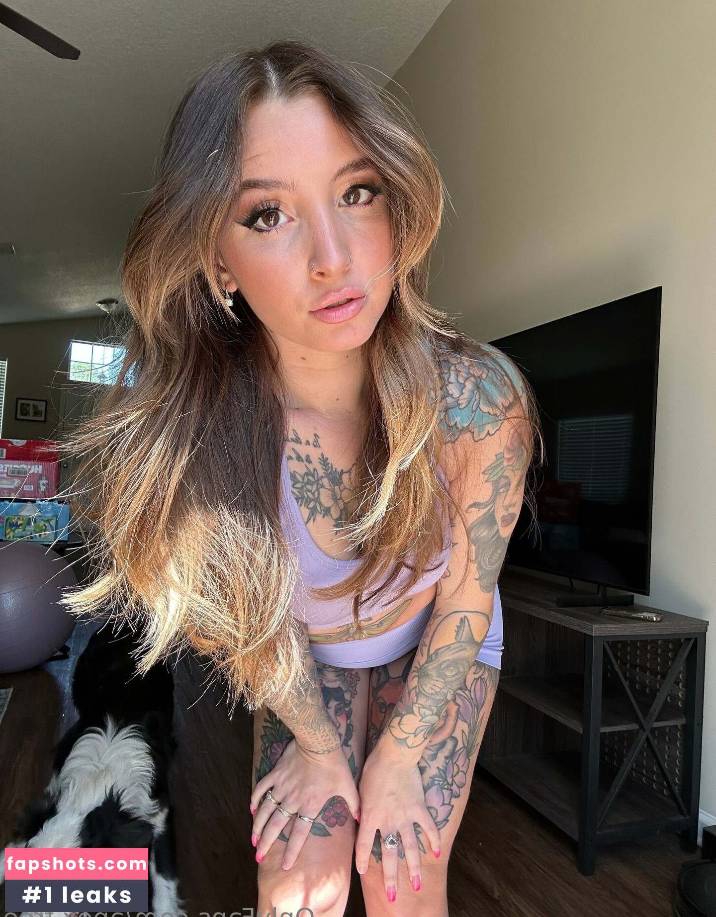 apex.free gallery photo #12