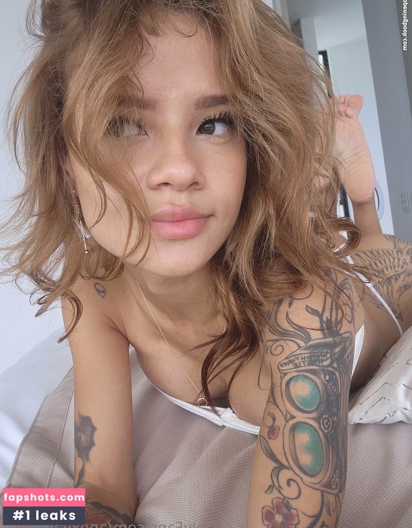 apexvalentina gallery photo #3