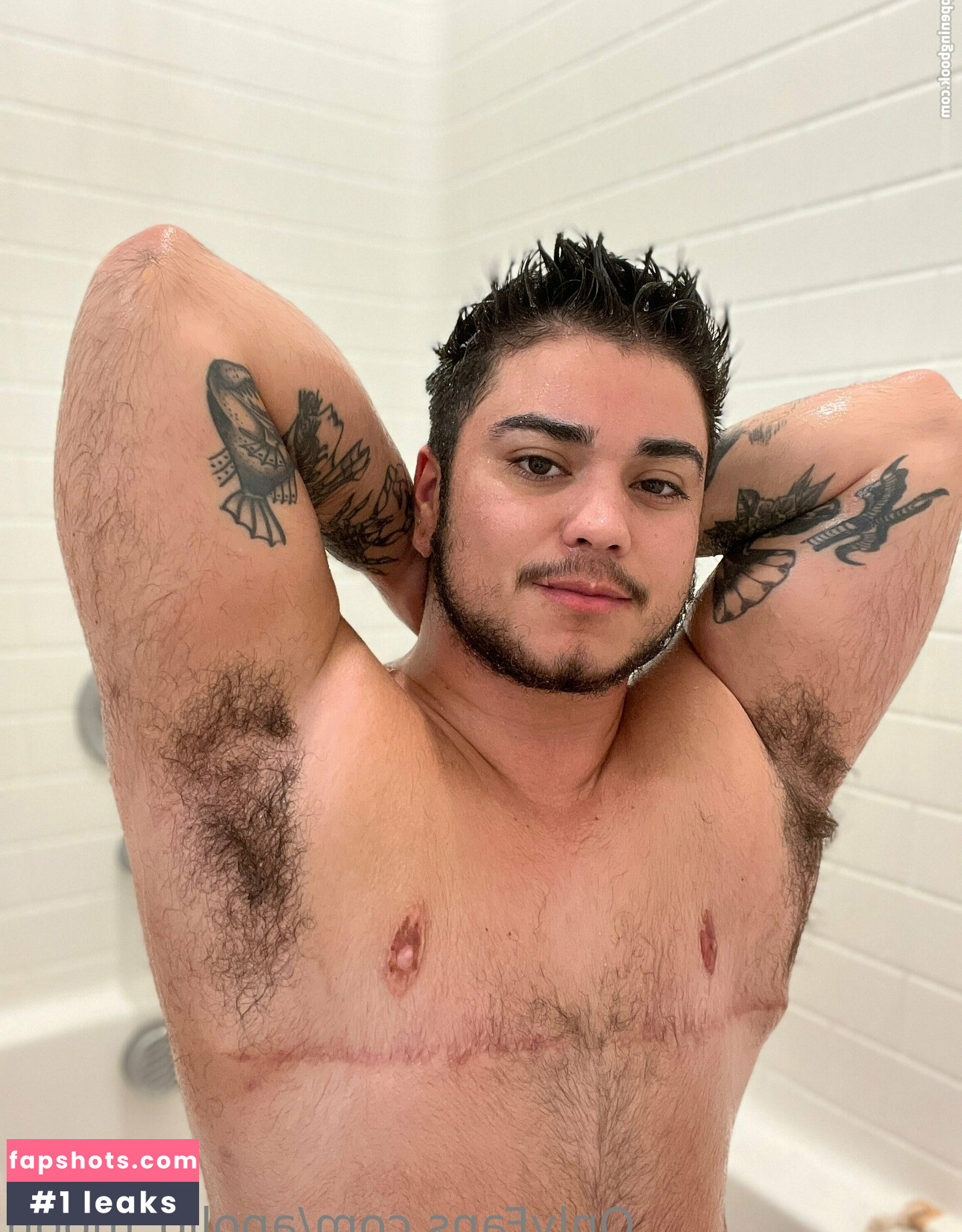 apollo_moon gallery photo #11