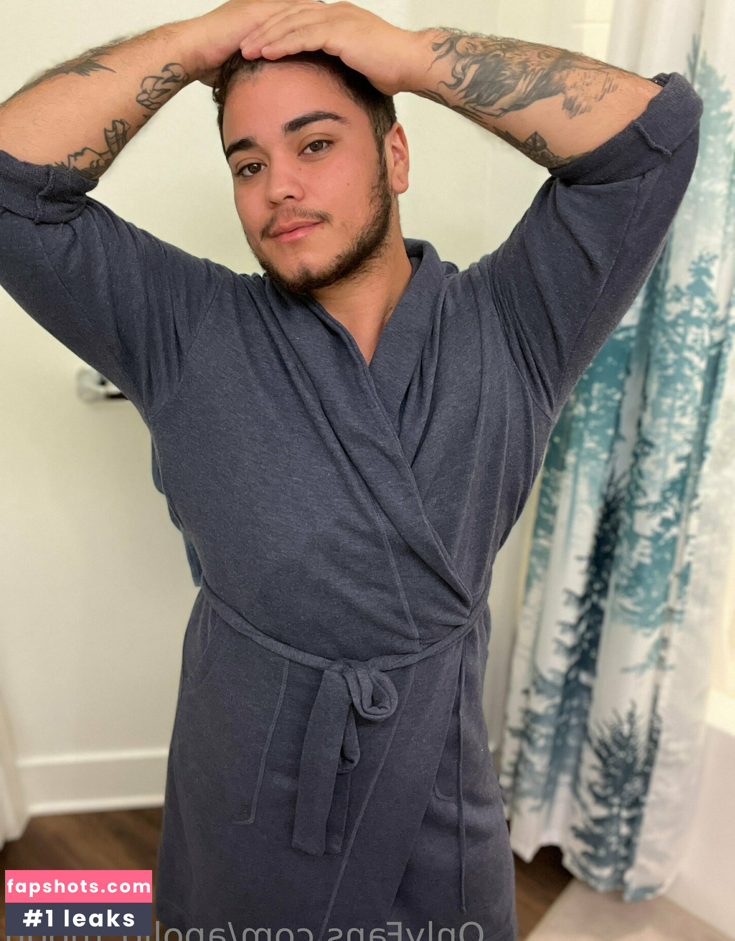 apollo_moon gallery photo #13