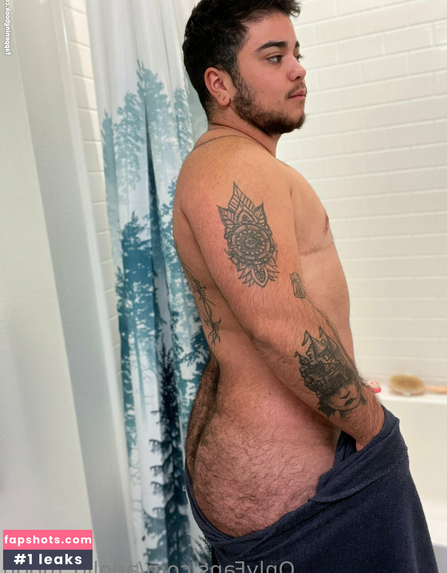 apollo_moon gallery photo #22