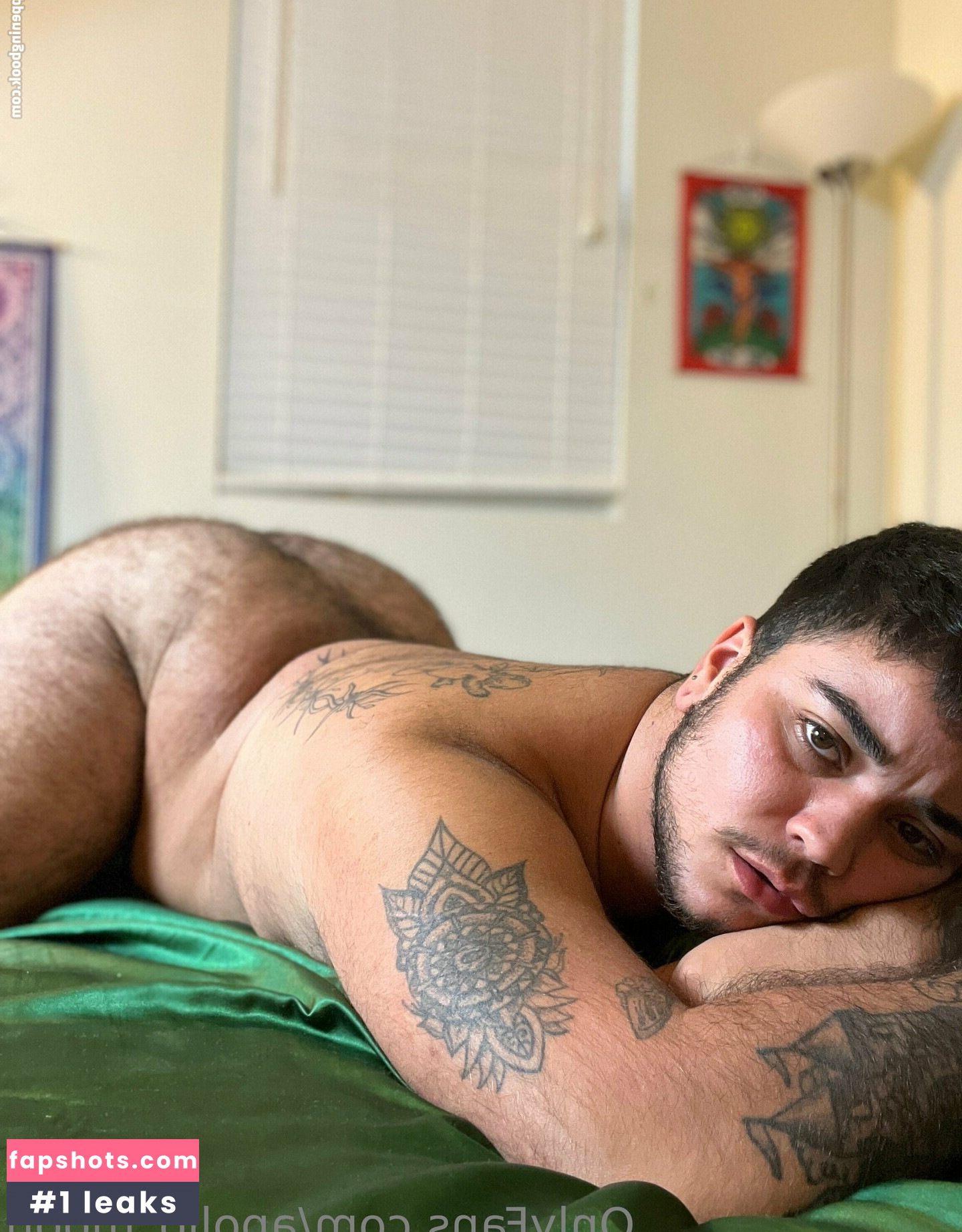 apollo_moon gallery photo #4