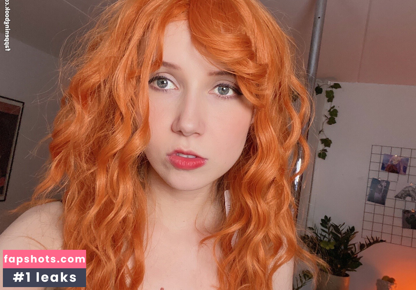 Apollolol gallery photo #105