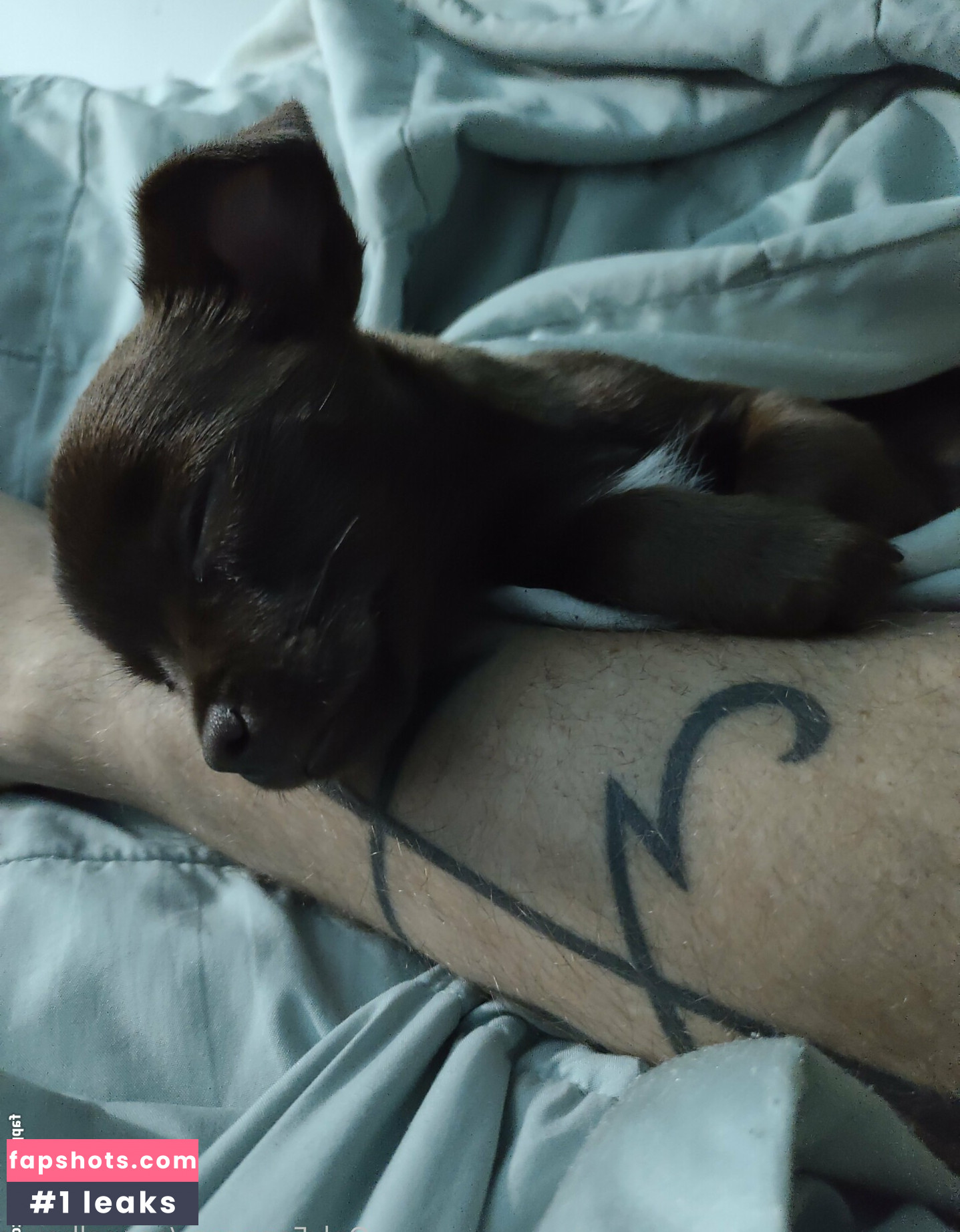 appealhexxx Nacktheit OnlyFans Fotos #9 - Fapshots