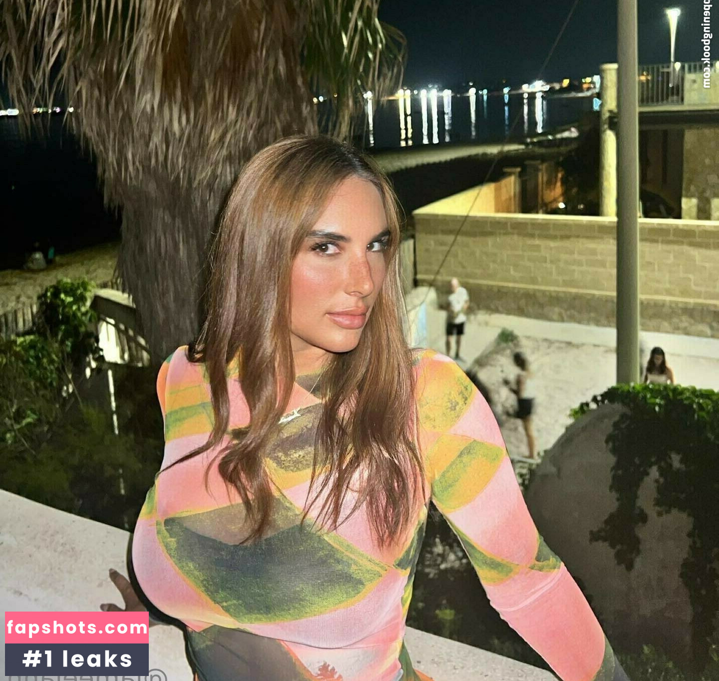 Arabic Princess gallery photo #131