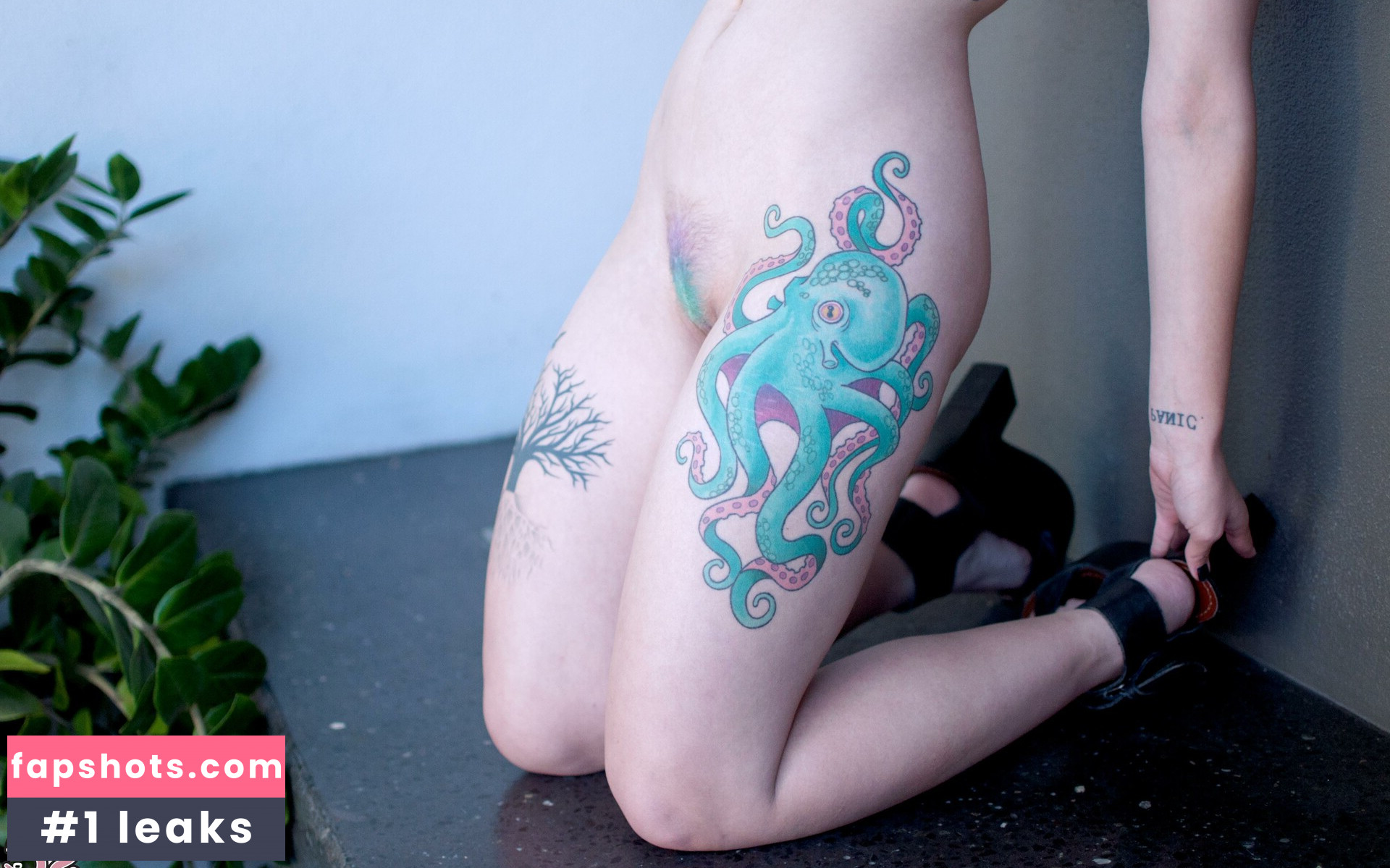 arachnie gallery photo #137