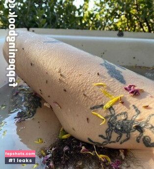 Aralia Hunt gallery photo #10