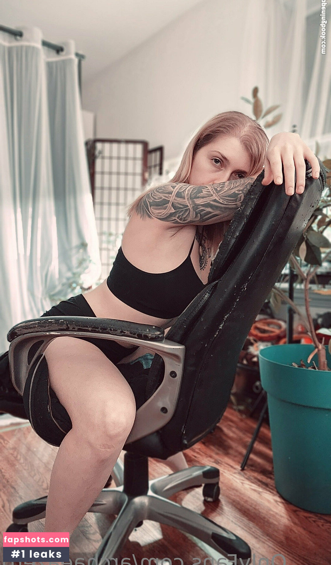 archaeazero gallery photo #11