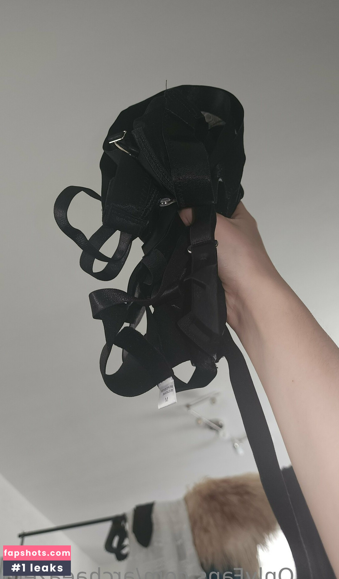 archaeazero gallery photo #9