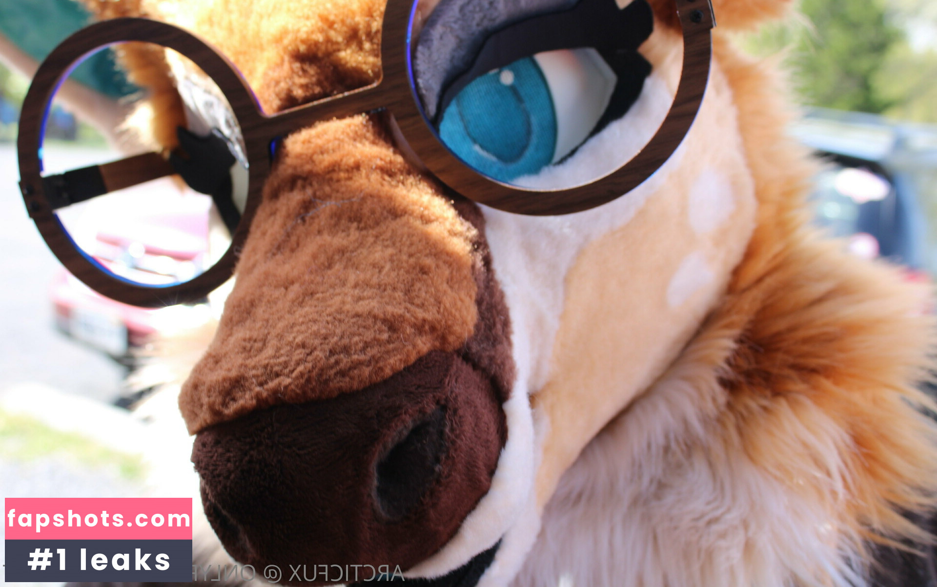 arcticfux Nude Leaks OnlyFans Photos #17 - LeakJerk