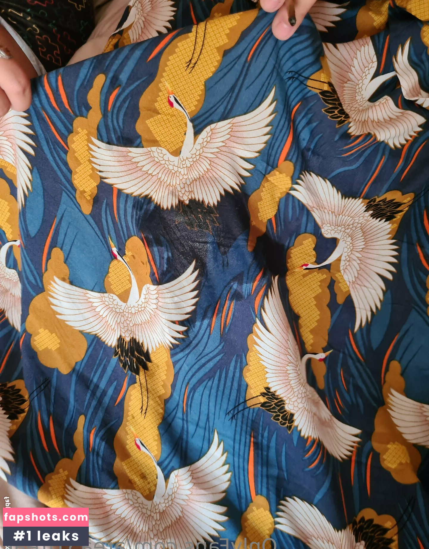 area51freak gallery photo #6