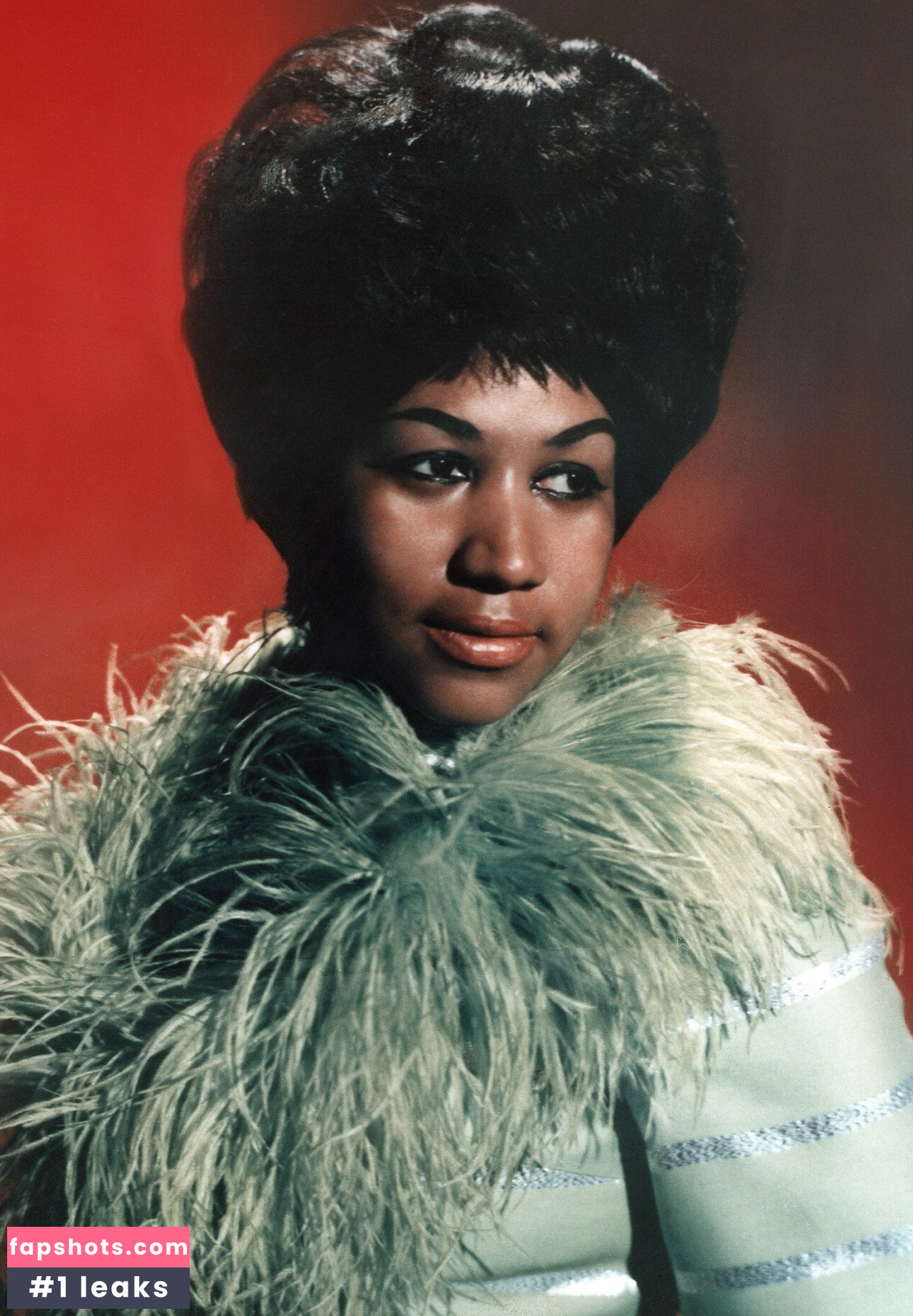 Aretha Franklin gallery photo #8