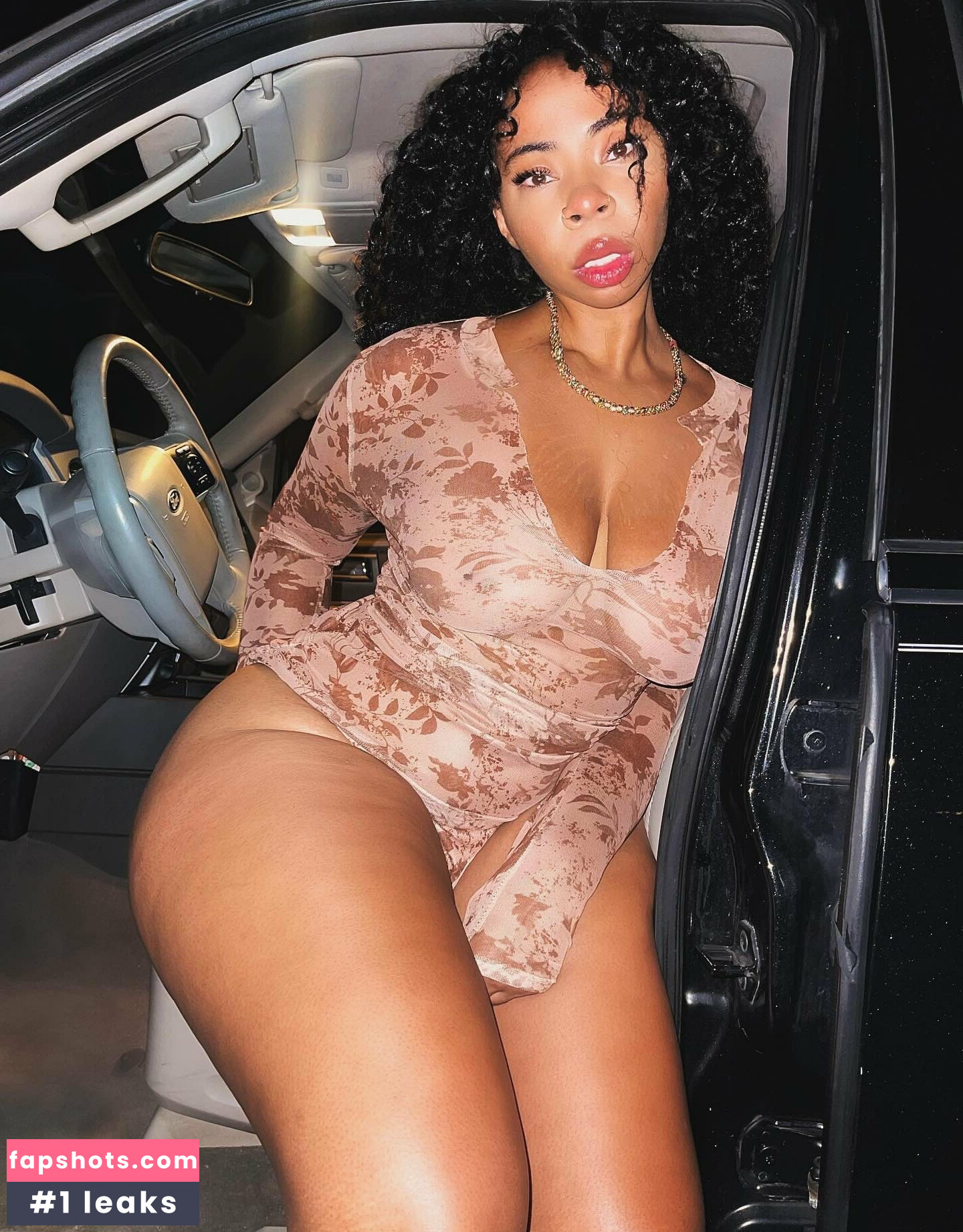 Aria Artizte gallery photo #5