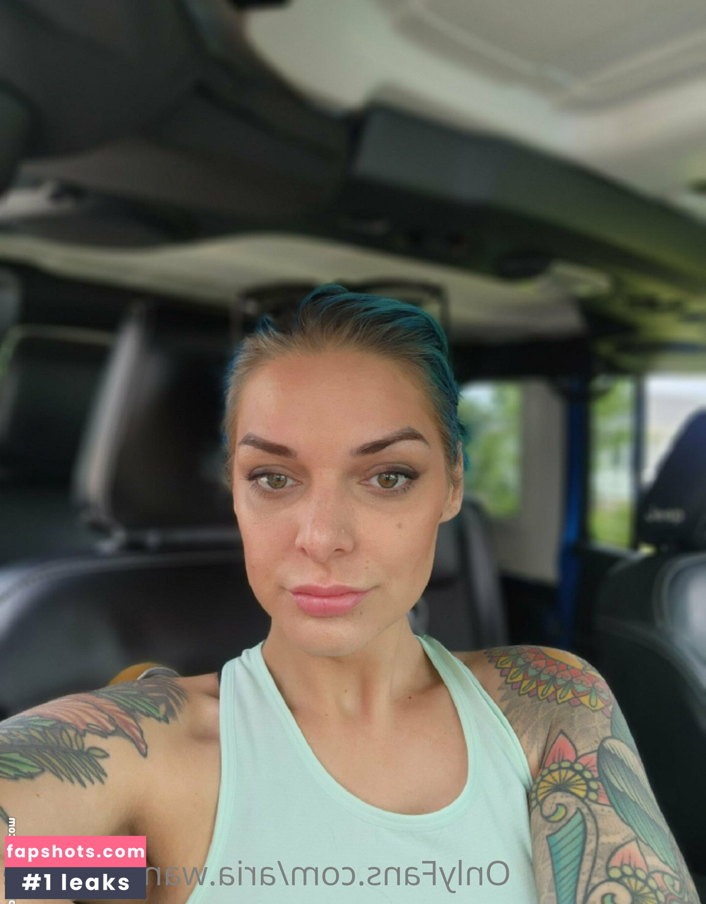 aria.wanders.free gallery photo #5