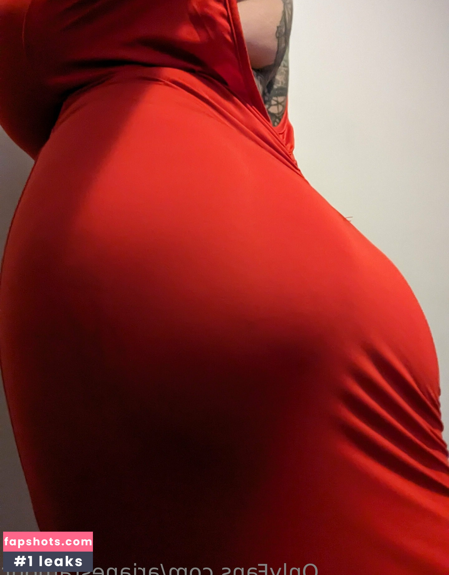 arianestamour gallery photo #2