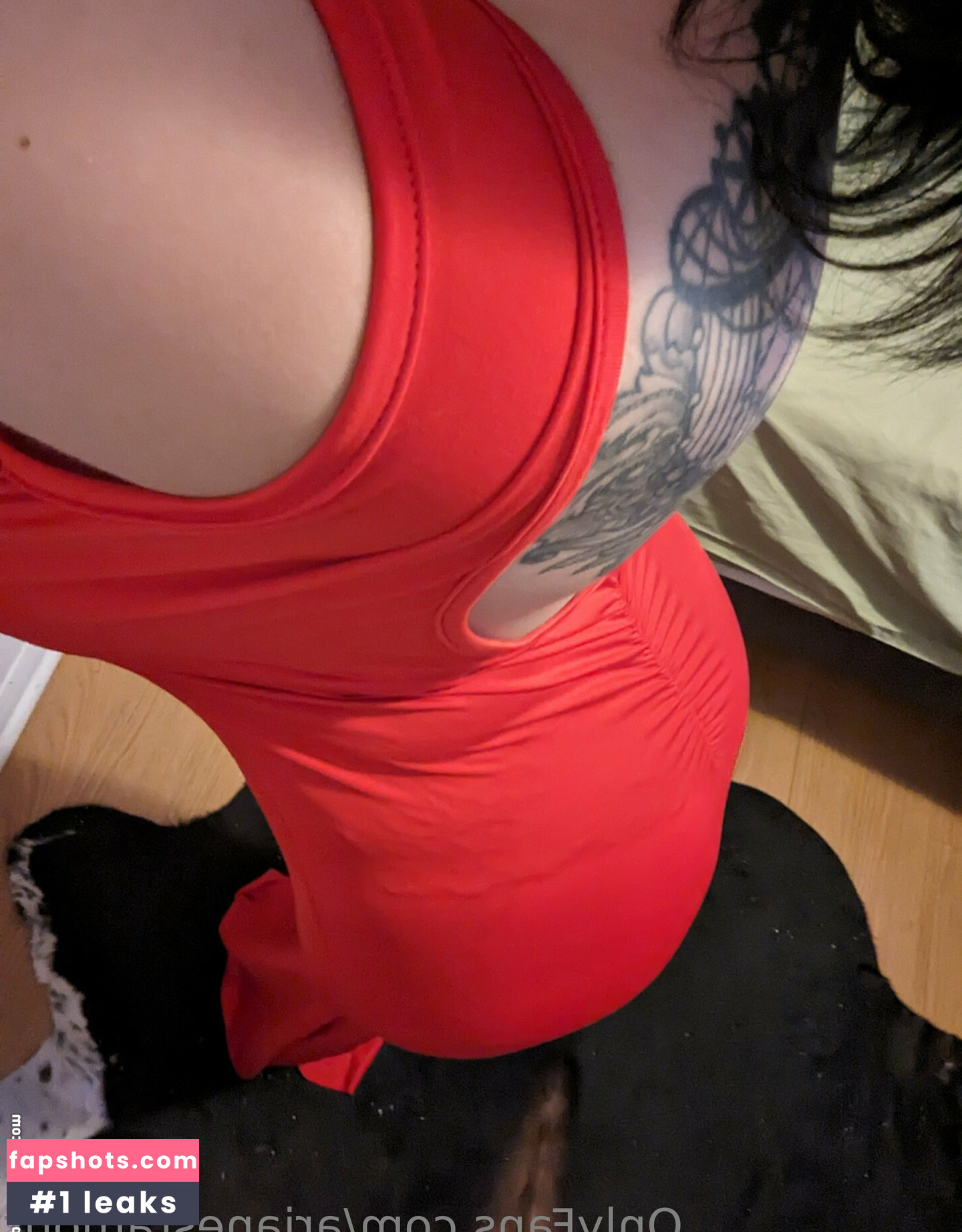 arianestamour gallery photo #13