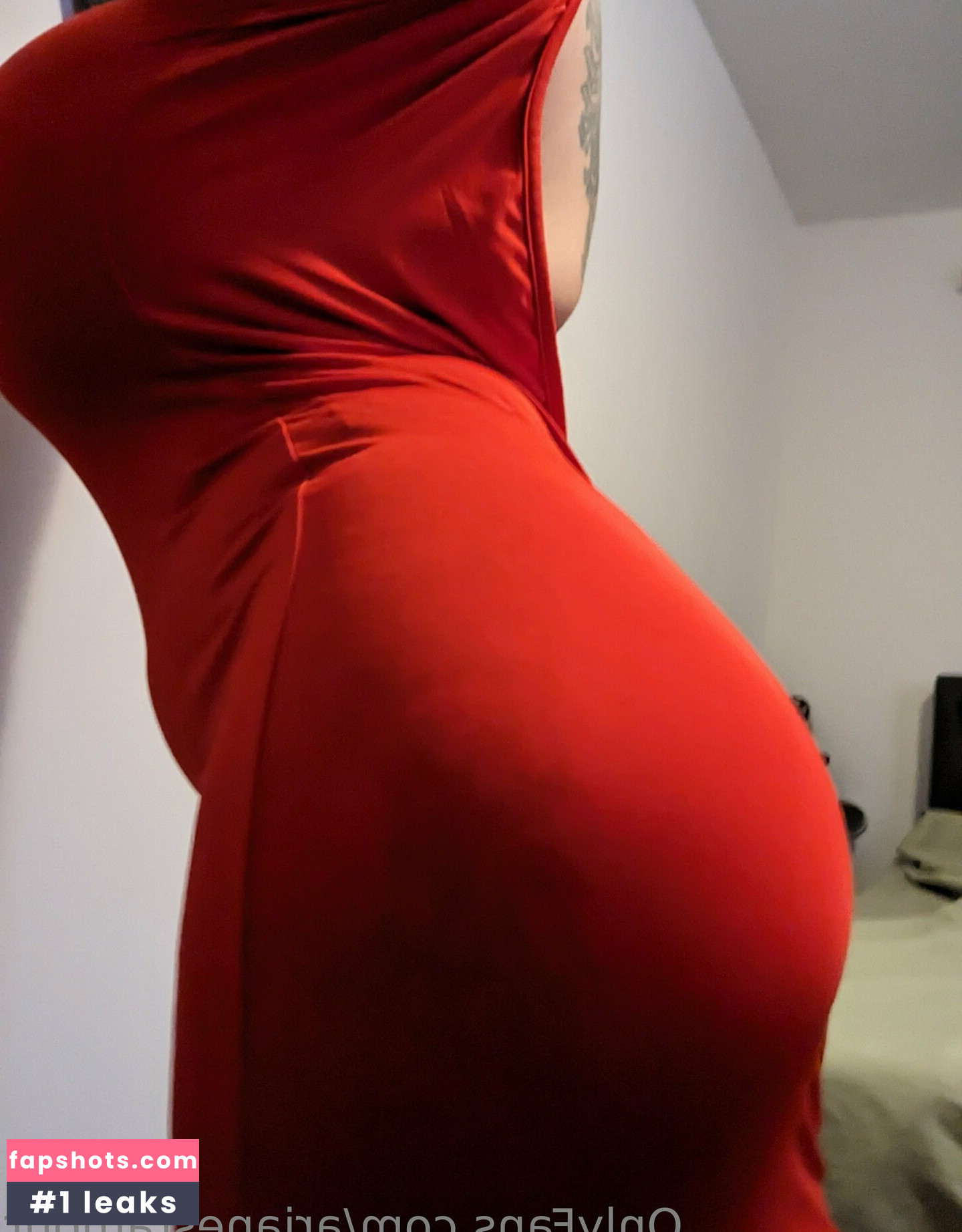 arianestamour gallery photo #17