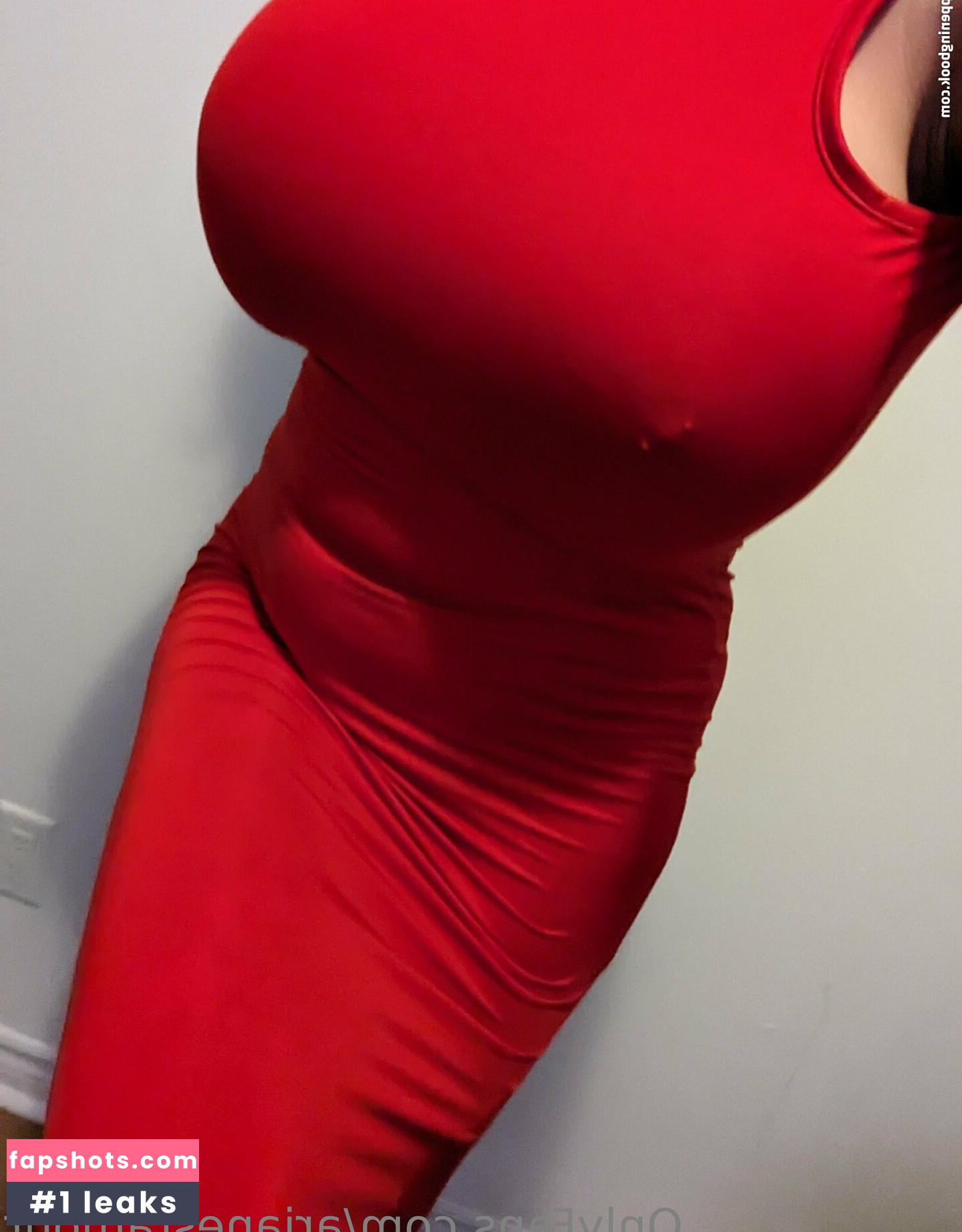 arianestamour gallery photo #22