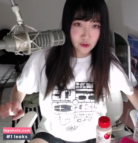 AriaSaki Nude Leaks OnlyFans Photos #182 - LeakJerk