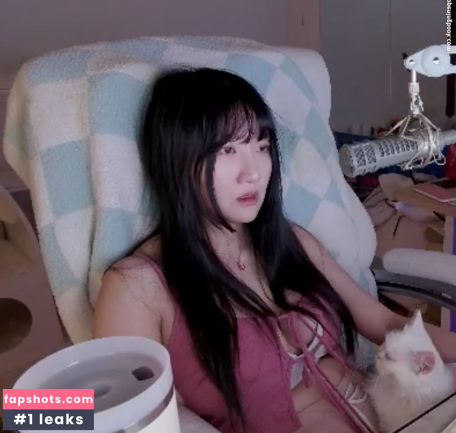 AriaSaki Nude Leaks OnlyFans Photos #96 - LeakJerk