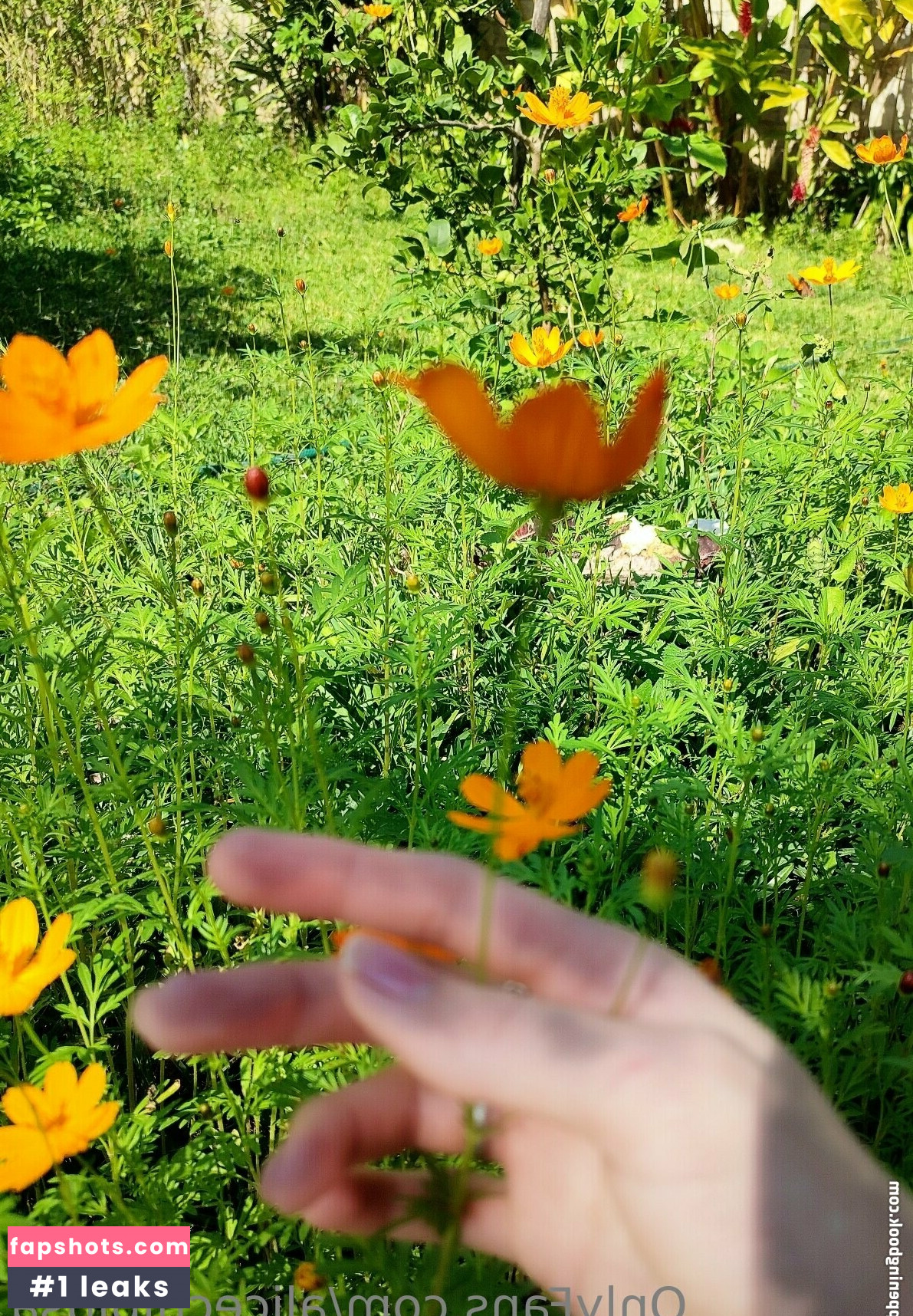 Ariel Chibiusa Nacktheit OnlyFans Fotos #2 - Fapshots