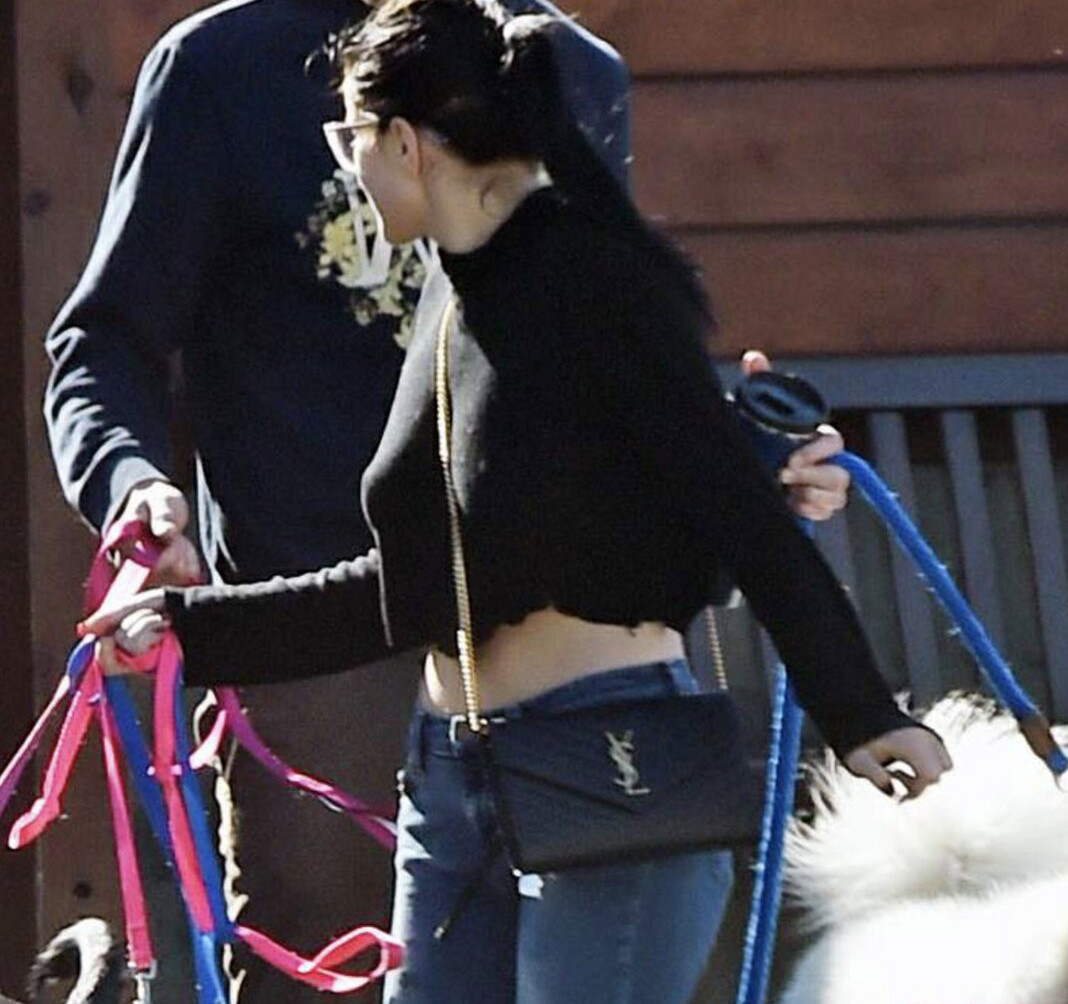 ariel-winter Filtración Desnuda OnlyFans Foto #1305 - Fapshots