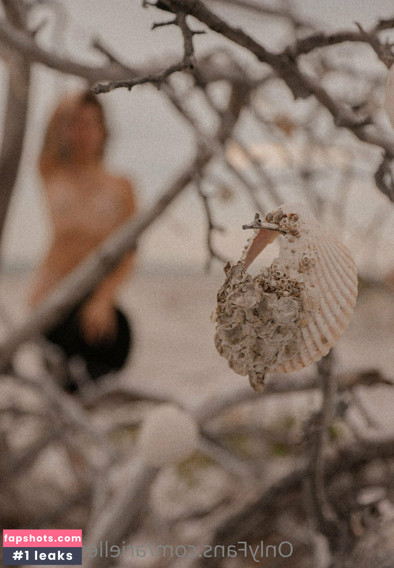 ariellescarcella Filtración Desnuda OnlyFans Foto #35 - Fapshots