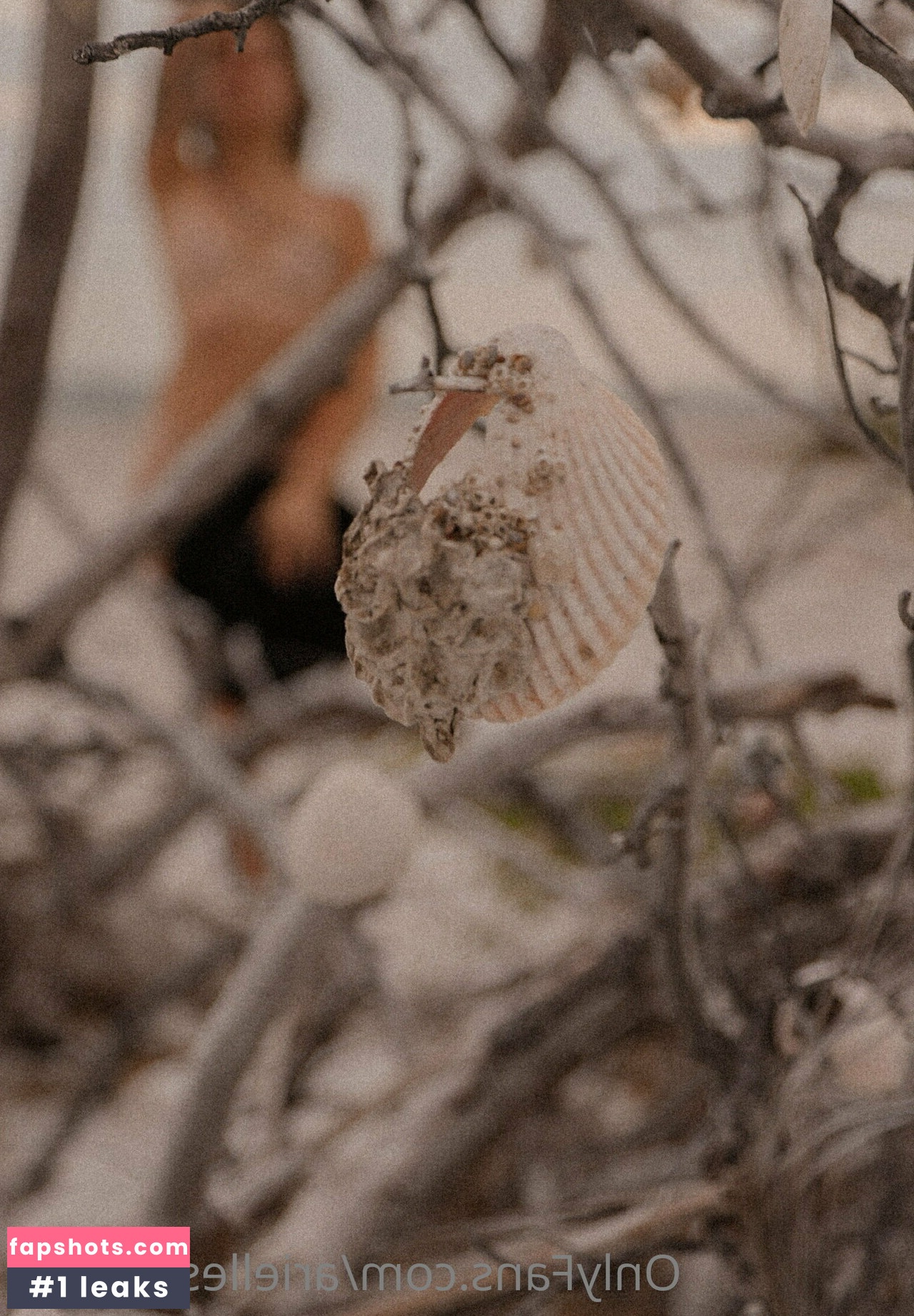 ariellescarcella Filtración Desnuda OnlyFans Foto #10 - Fapshots