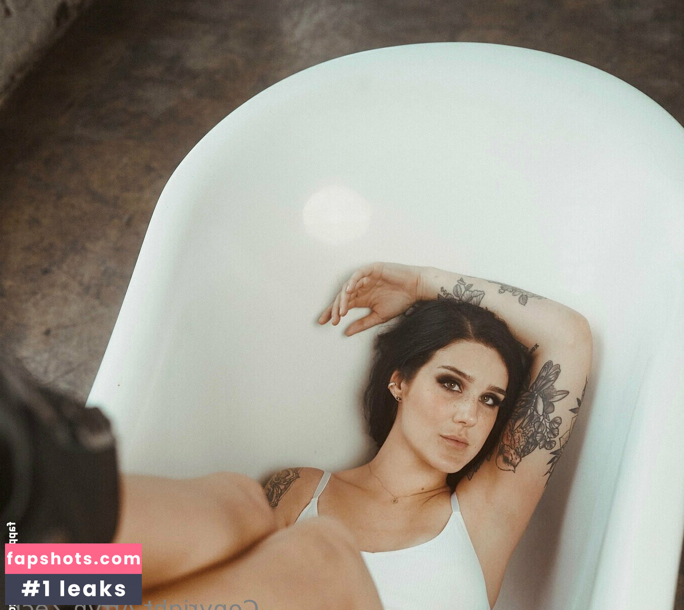 arryn gallery photo #14