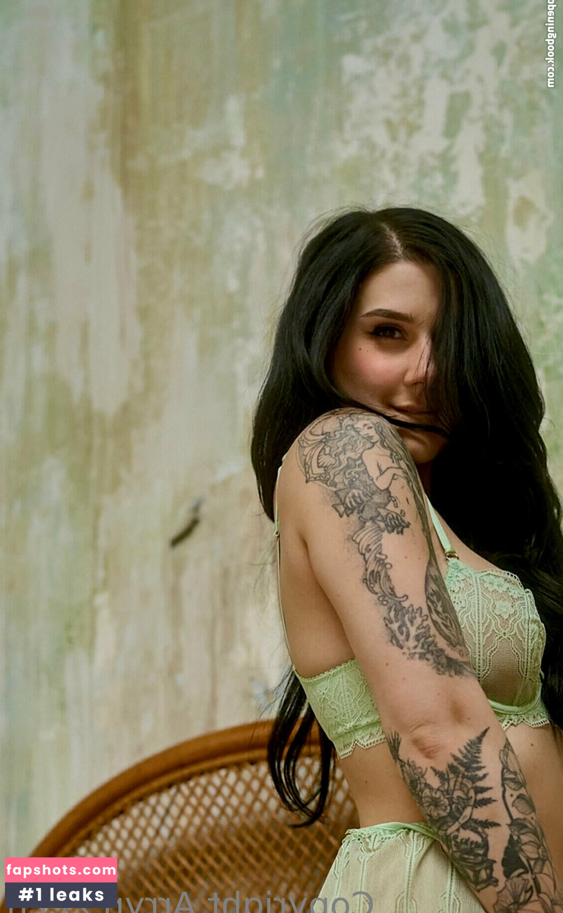 arryn gallery photo #28