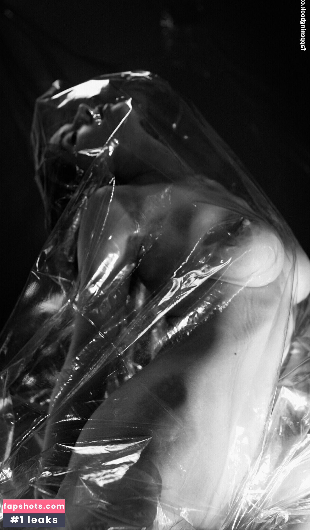 Arte Jones gallery photo #20