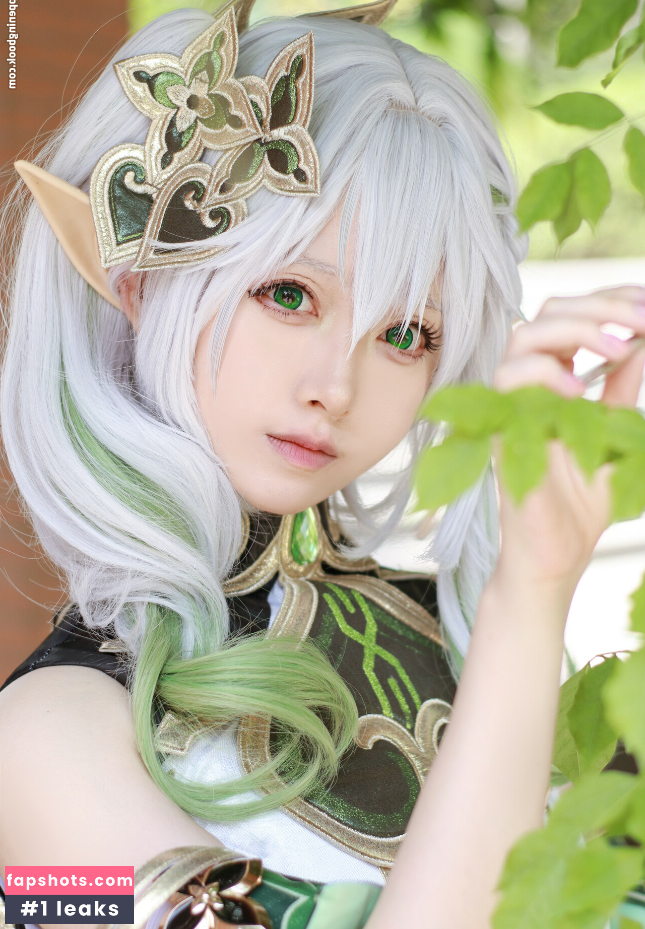 Asagiriai gallery photo #51