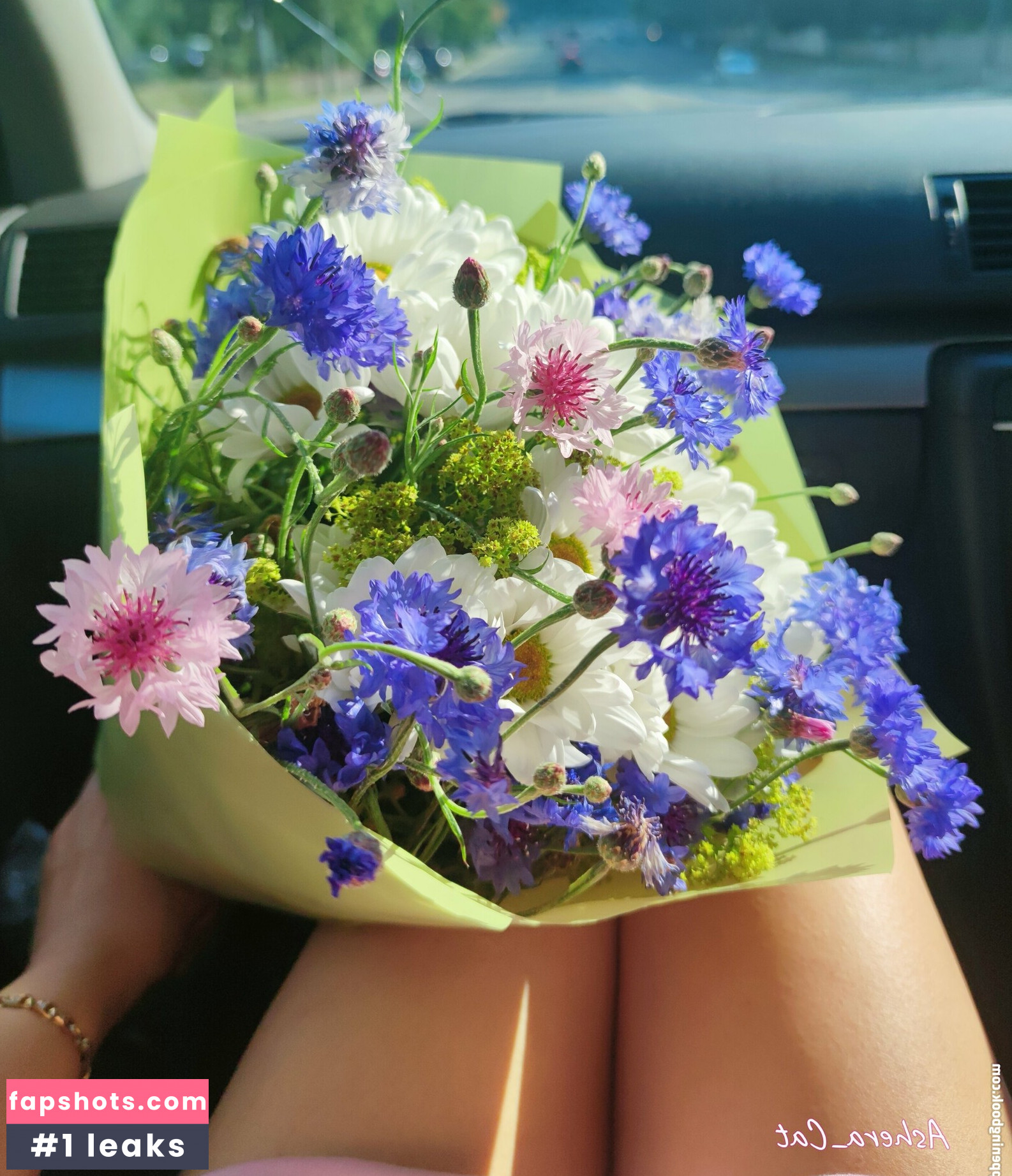 ashera_cat Filtración Desnuda OnlyFans Foto #30 - Fapshots