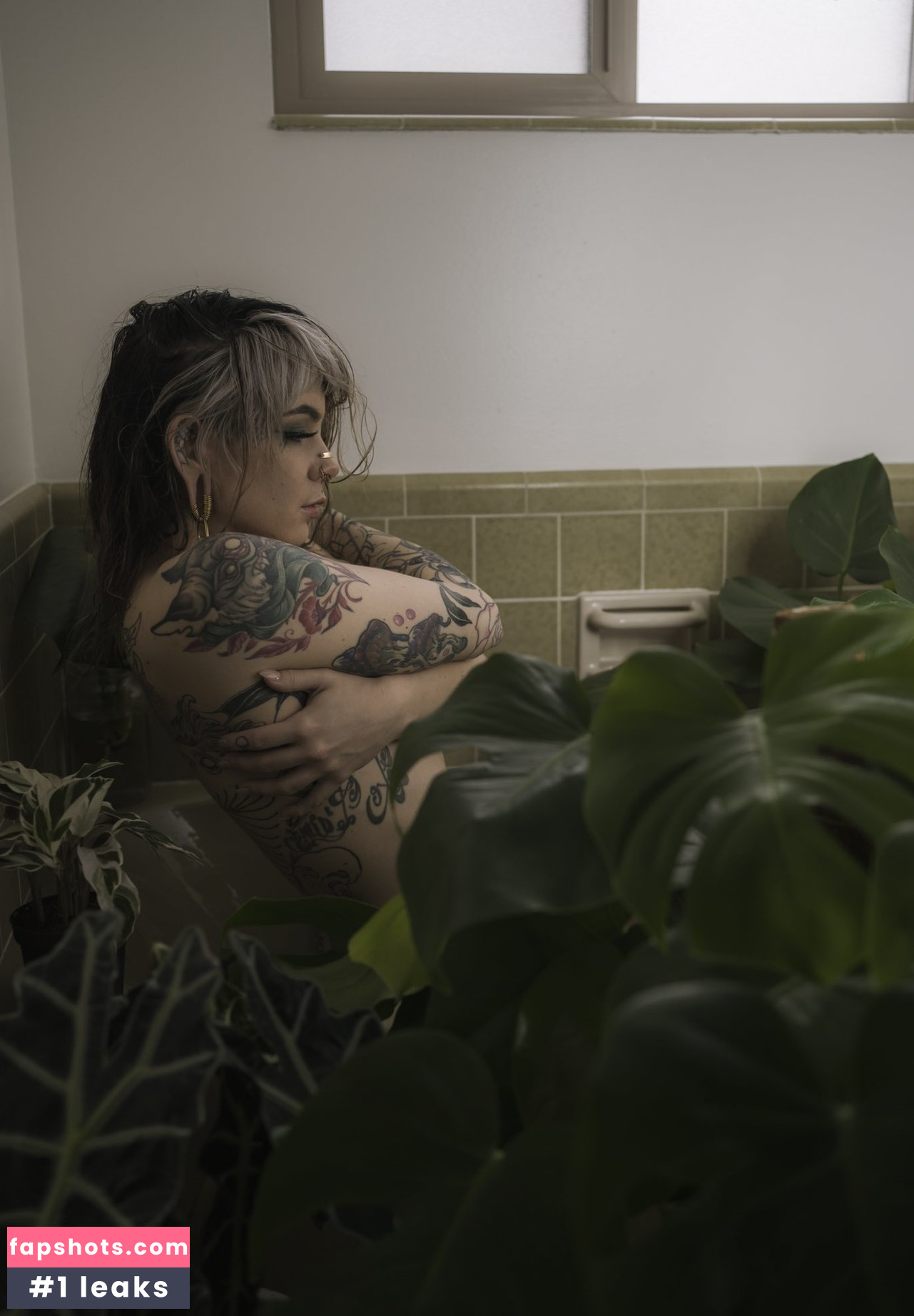 Ashesbardole gallery photo #11